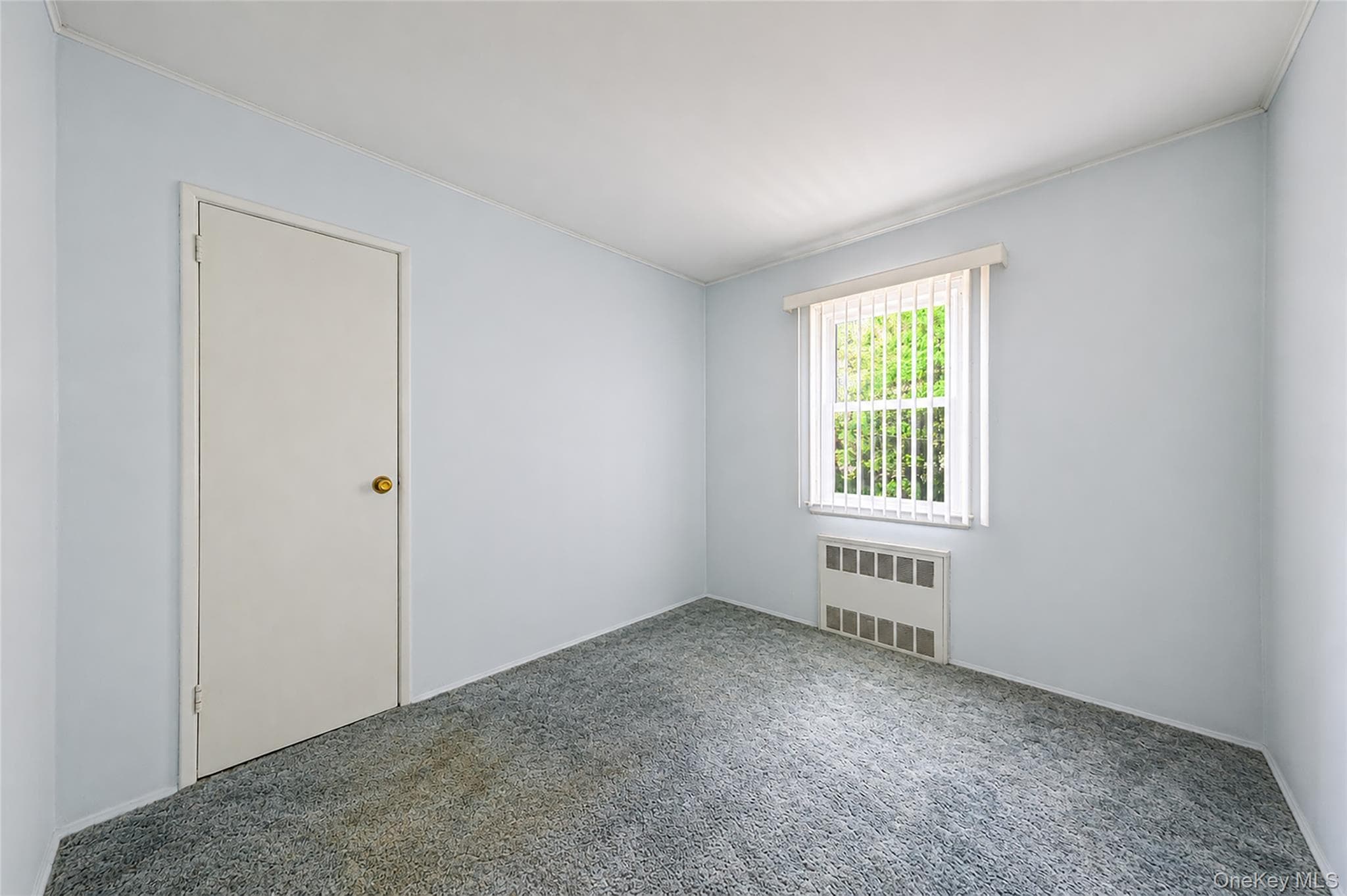 59 Maybrook Road thumbnail 16