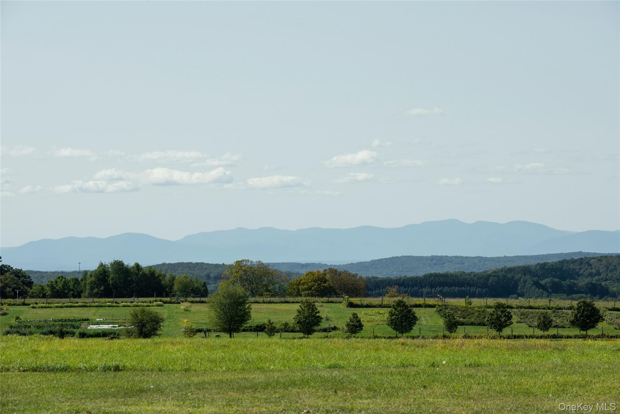 147 Moadock Road thumbnail 46