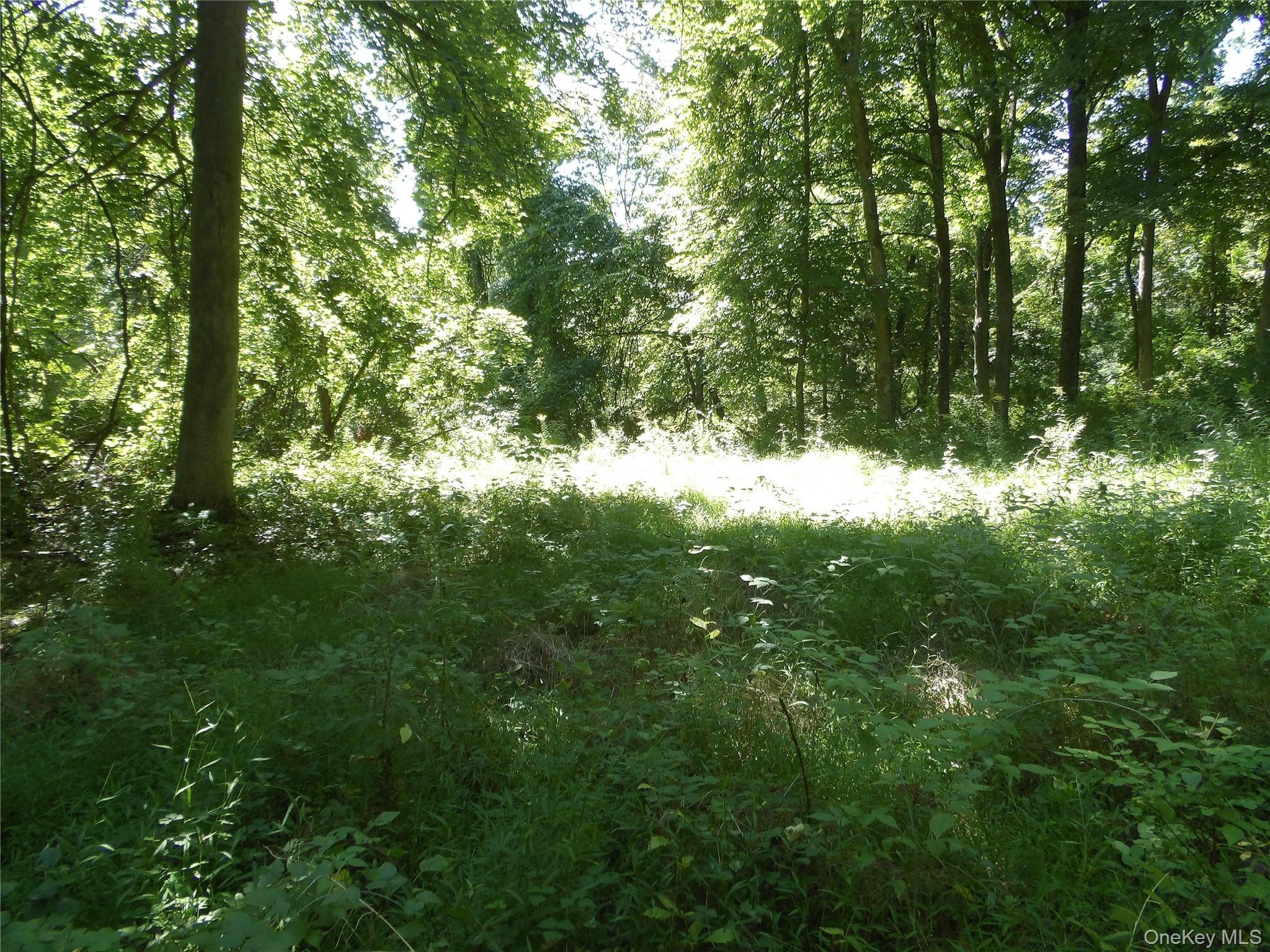 24 Hill Lane thumbnail 5