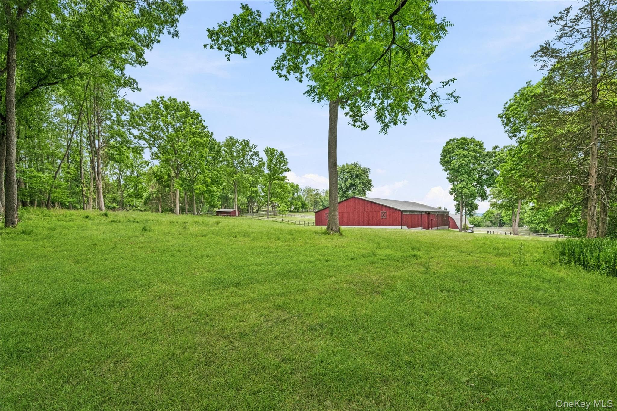 16 Almond Tree Lane thumbnail 35