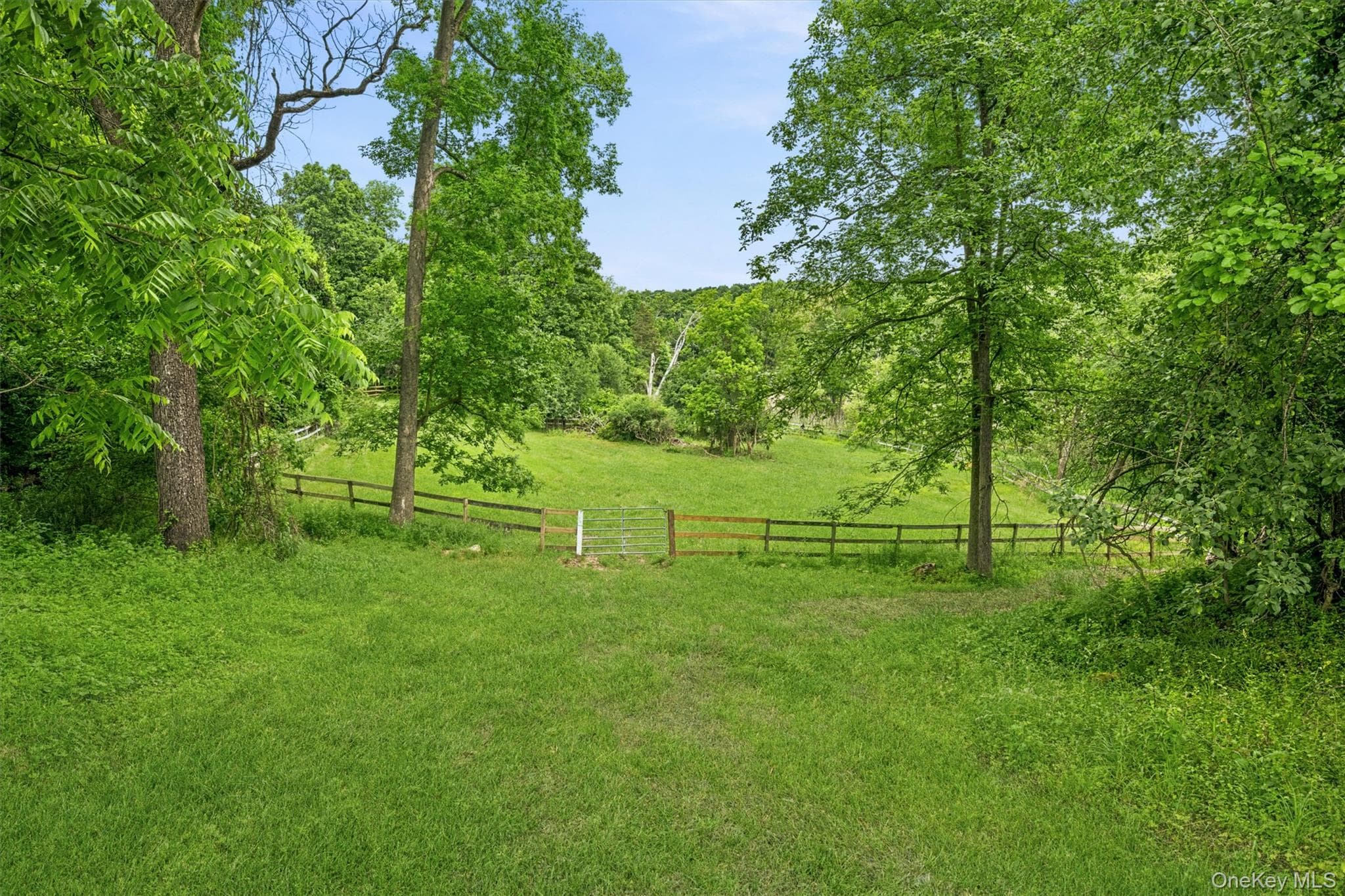 16 Almond Tree Lane thumbnail 34