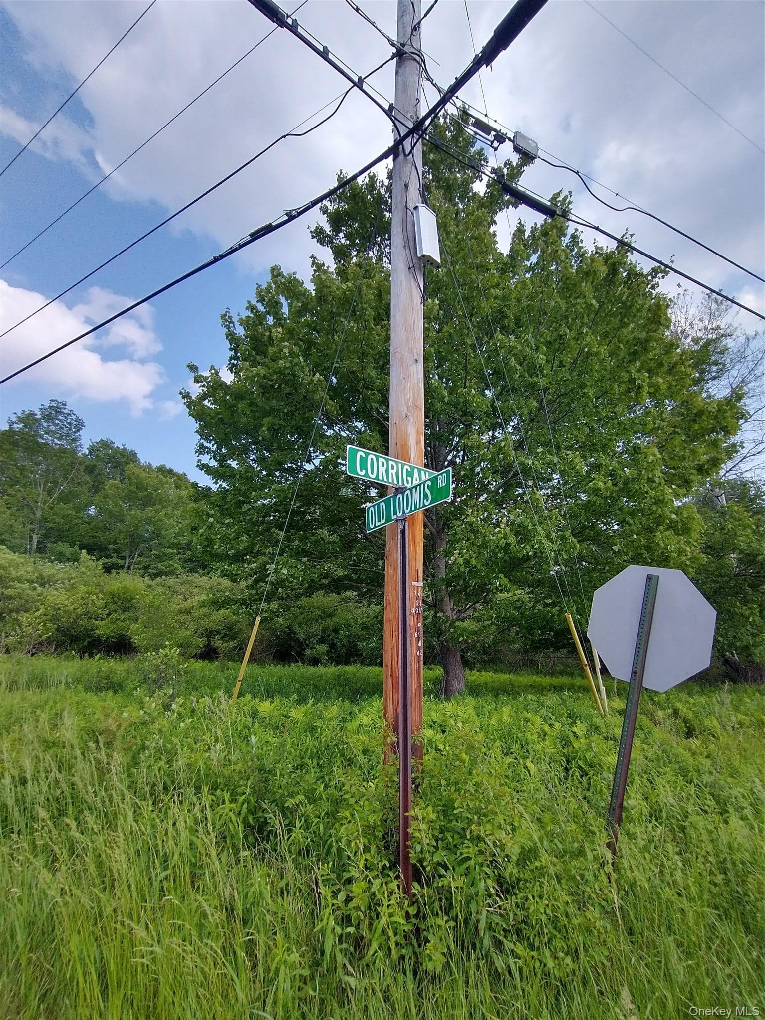 Old Loomis Road thumbnail 5