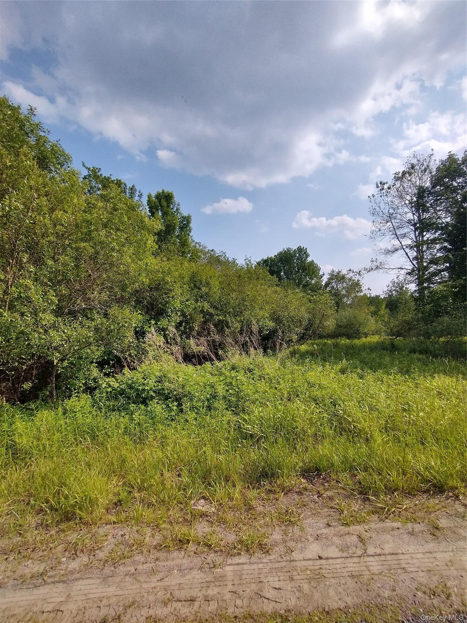 Old Loomis Road thumbnail 8