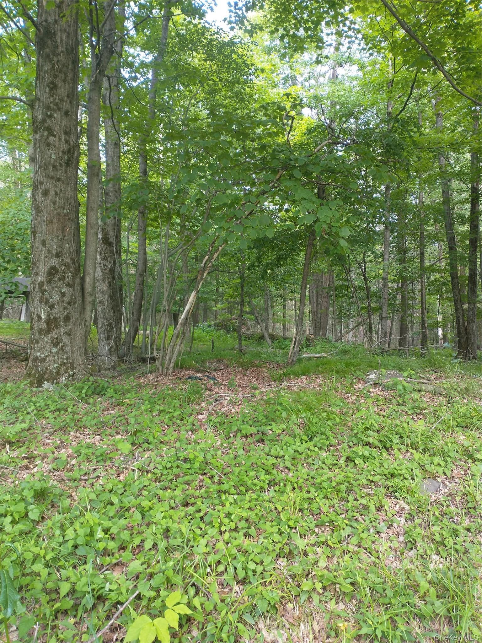 Old Loomis Road, Liberty
