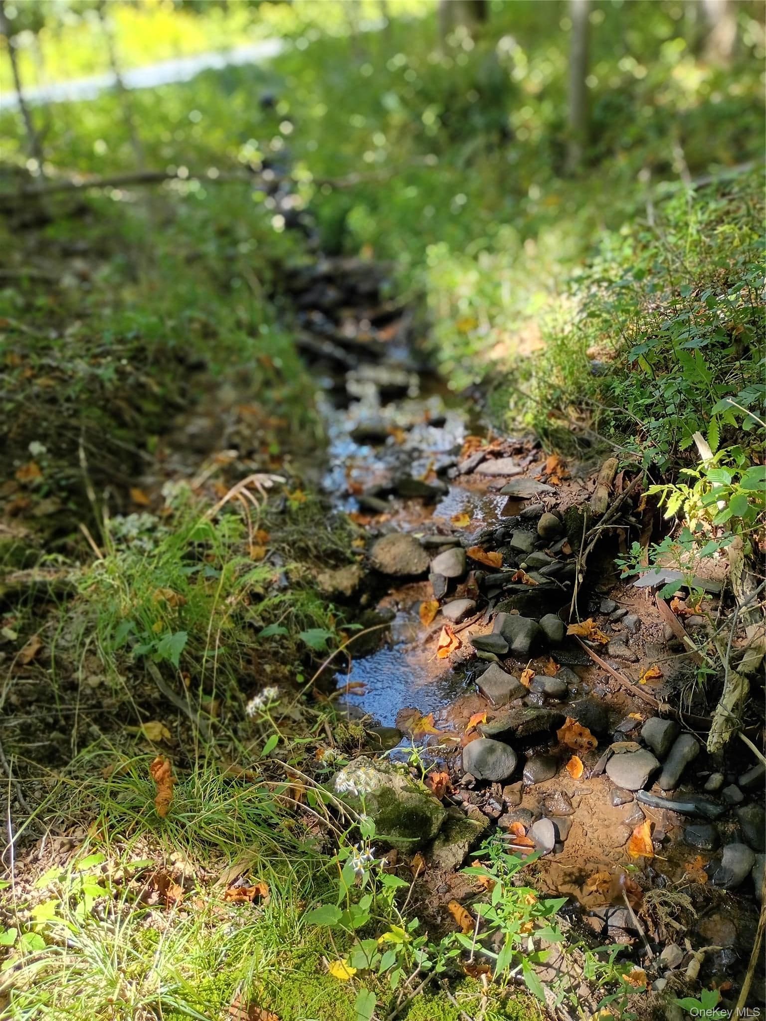 Old Loomis Road thumbnail 10