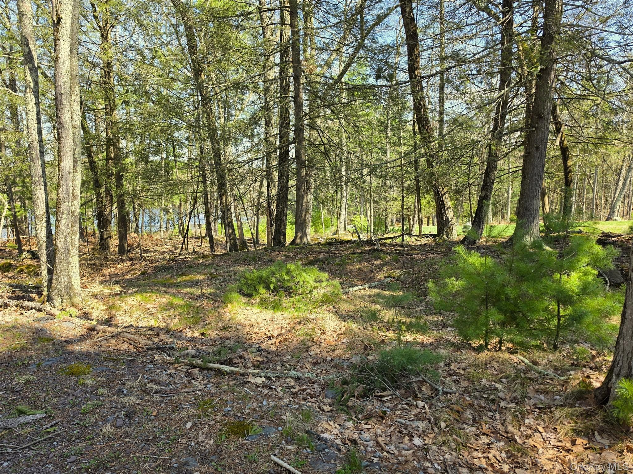 131 Highland Lake Road thumbnail 15
