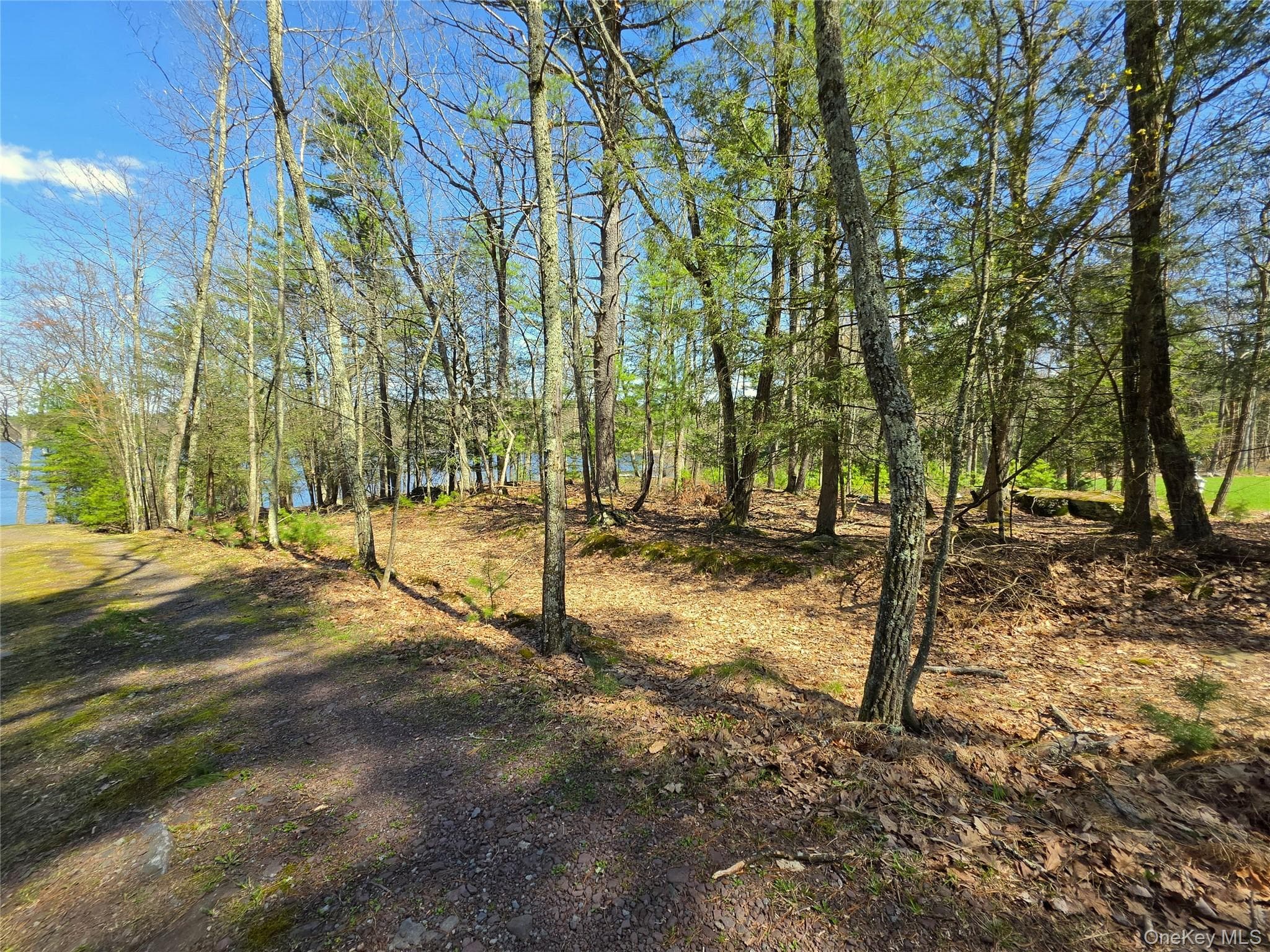 131 Highland Lake Road thumbnail 16