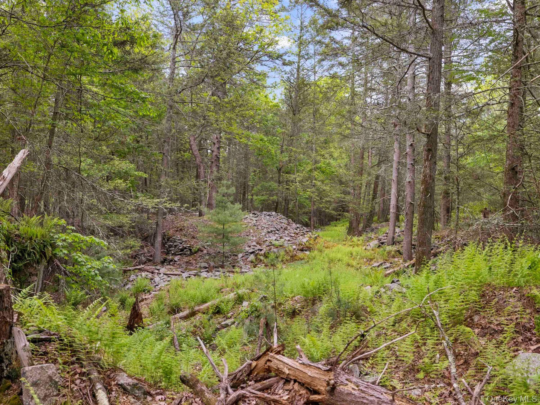 40 Mamoud Hills, Lot #4 Road thumbnail 35