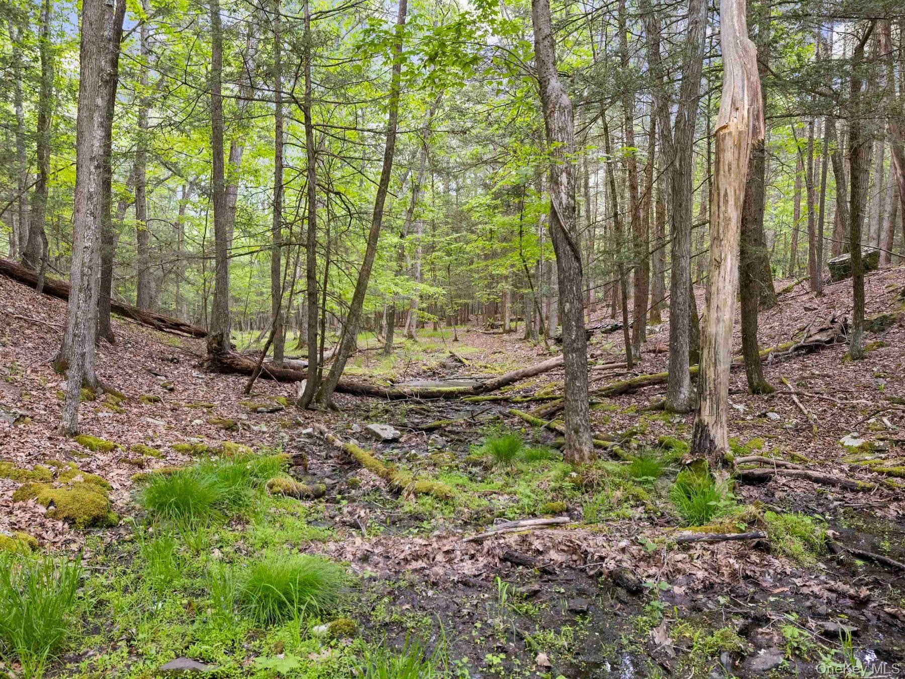 40 Mamoud Hills, Lot #4 Road thumbnail 36