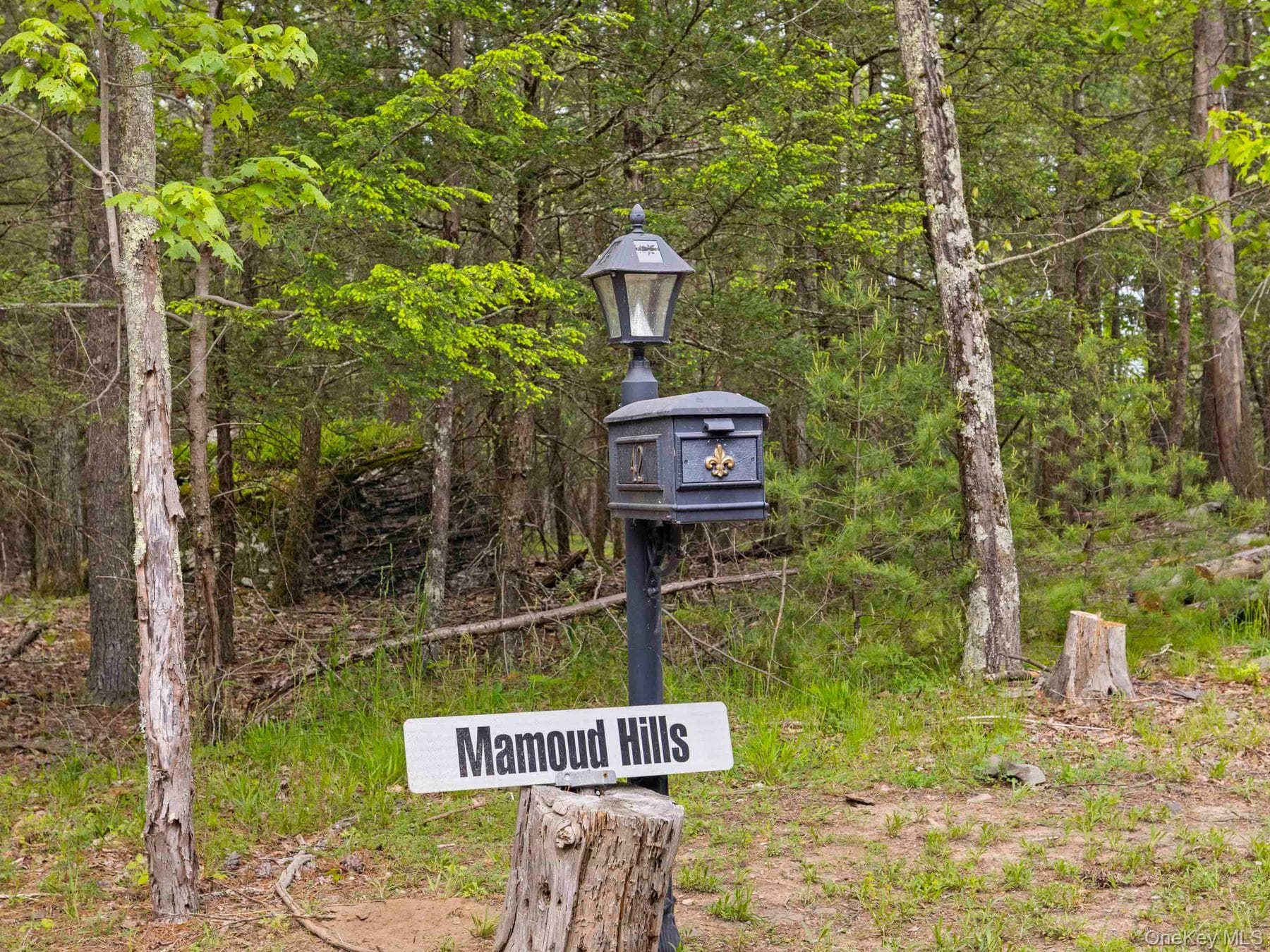 40 Mamoud Hills, Lot #4 Road thumbnail 22