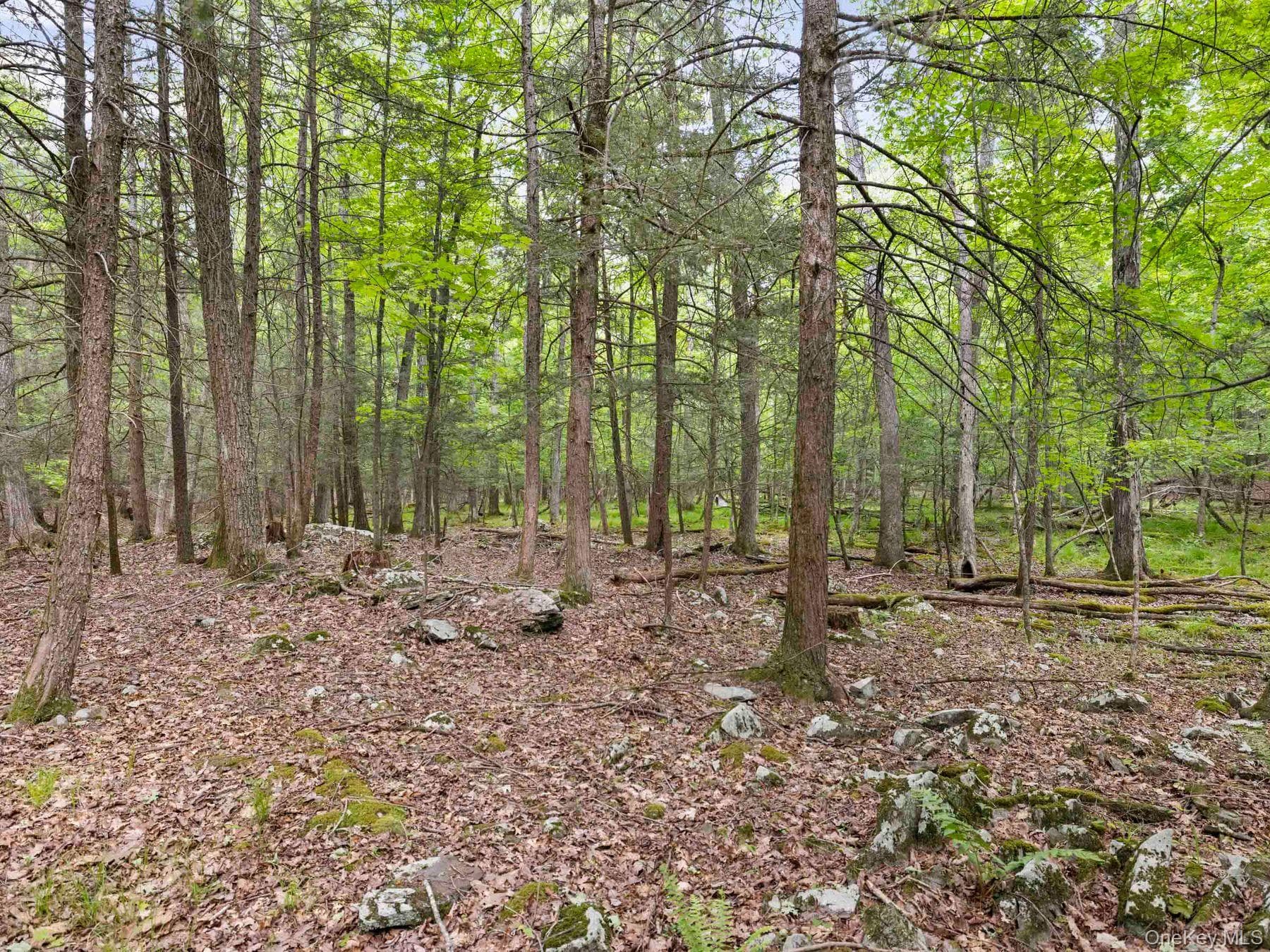40 Mamoud Hills, Lot #4 Road thumbnail 31