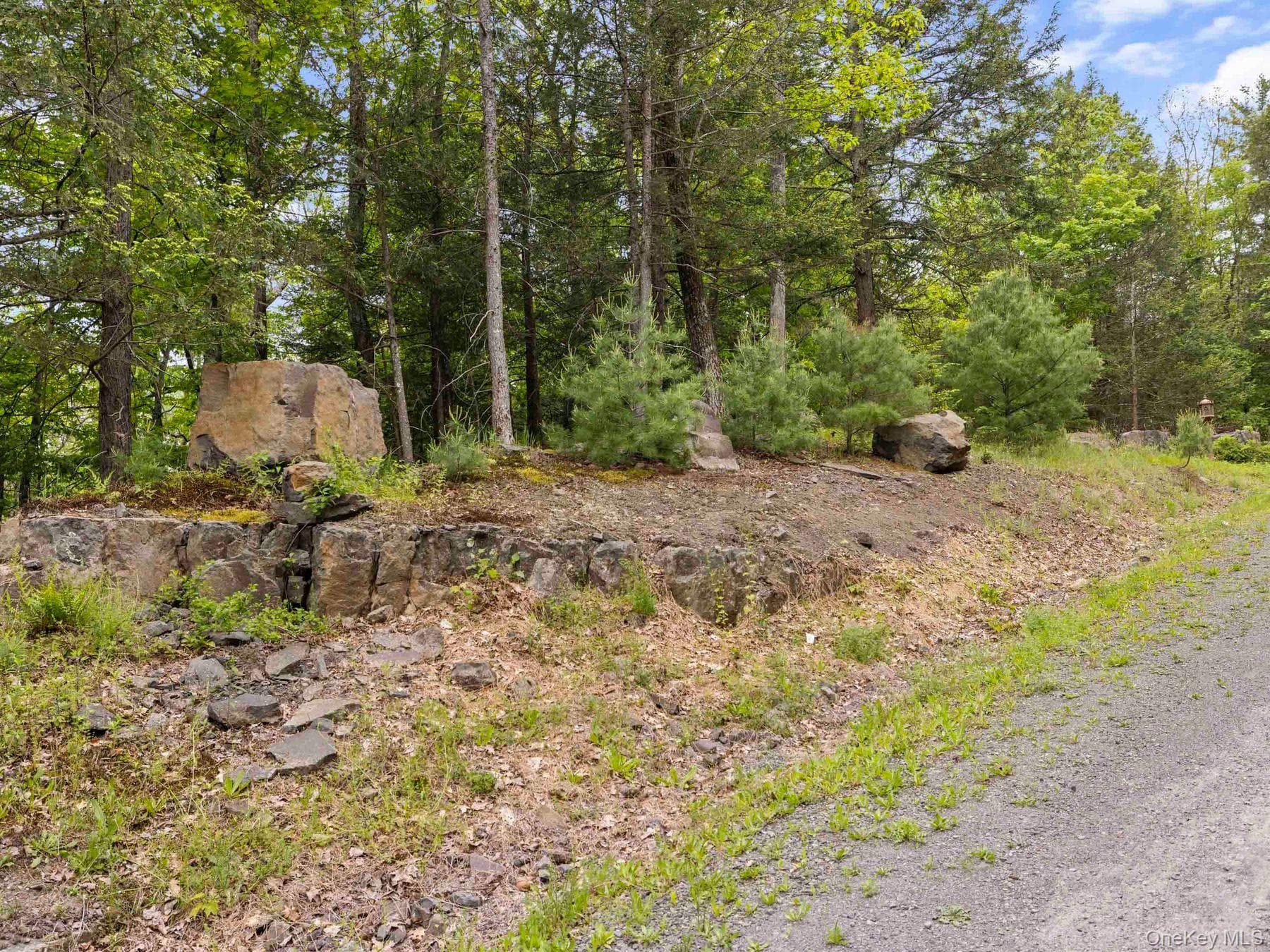 40 Mamoud Hills, Lot #4 Road thumbnail 10