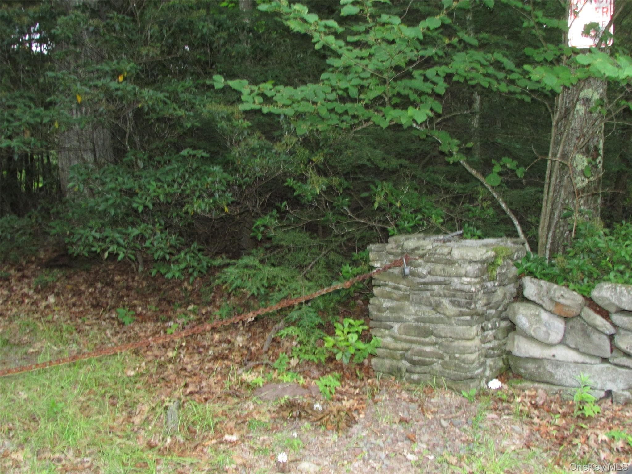 Fox Hill Road Tr 55 thumbnail 2