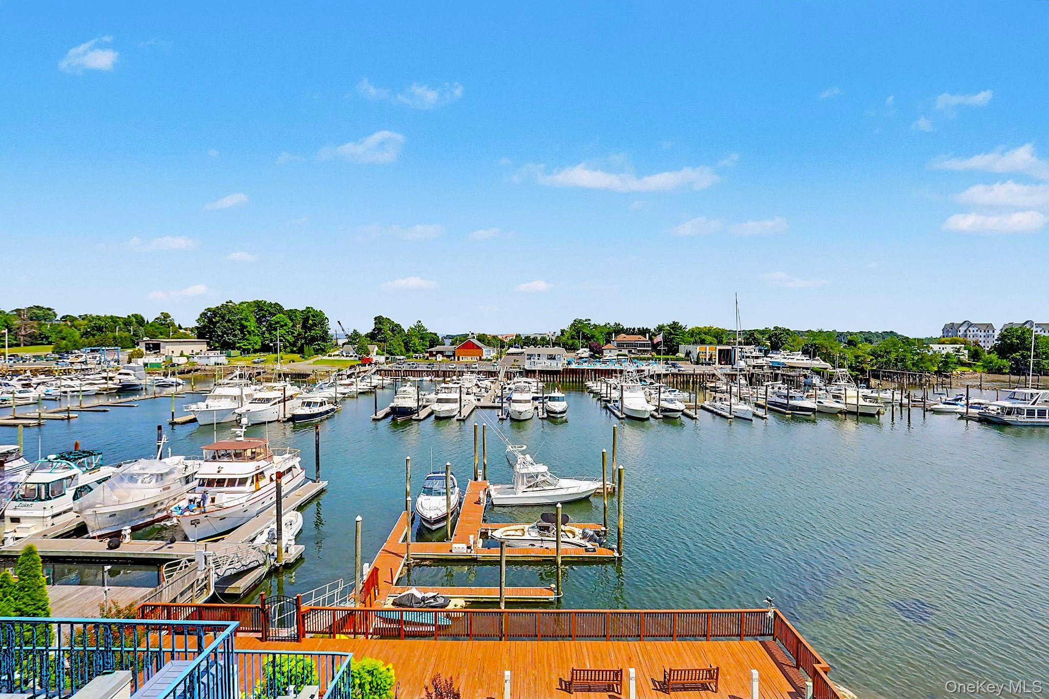 18 Shady Glen Court Unit: 403, New Rochelle