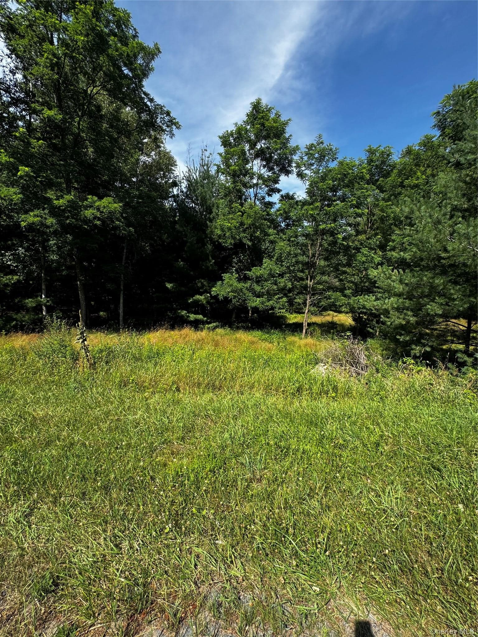 Ulster Heights Road thumbnail 3