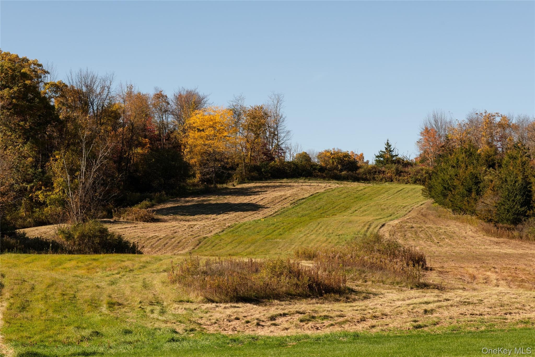 155 Milan Hollow Road thumbnail 3