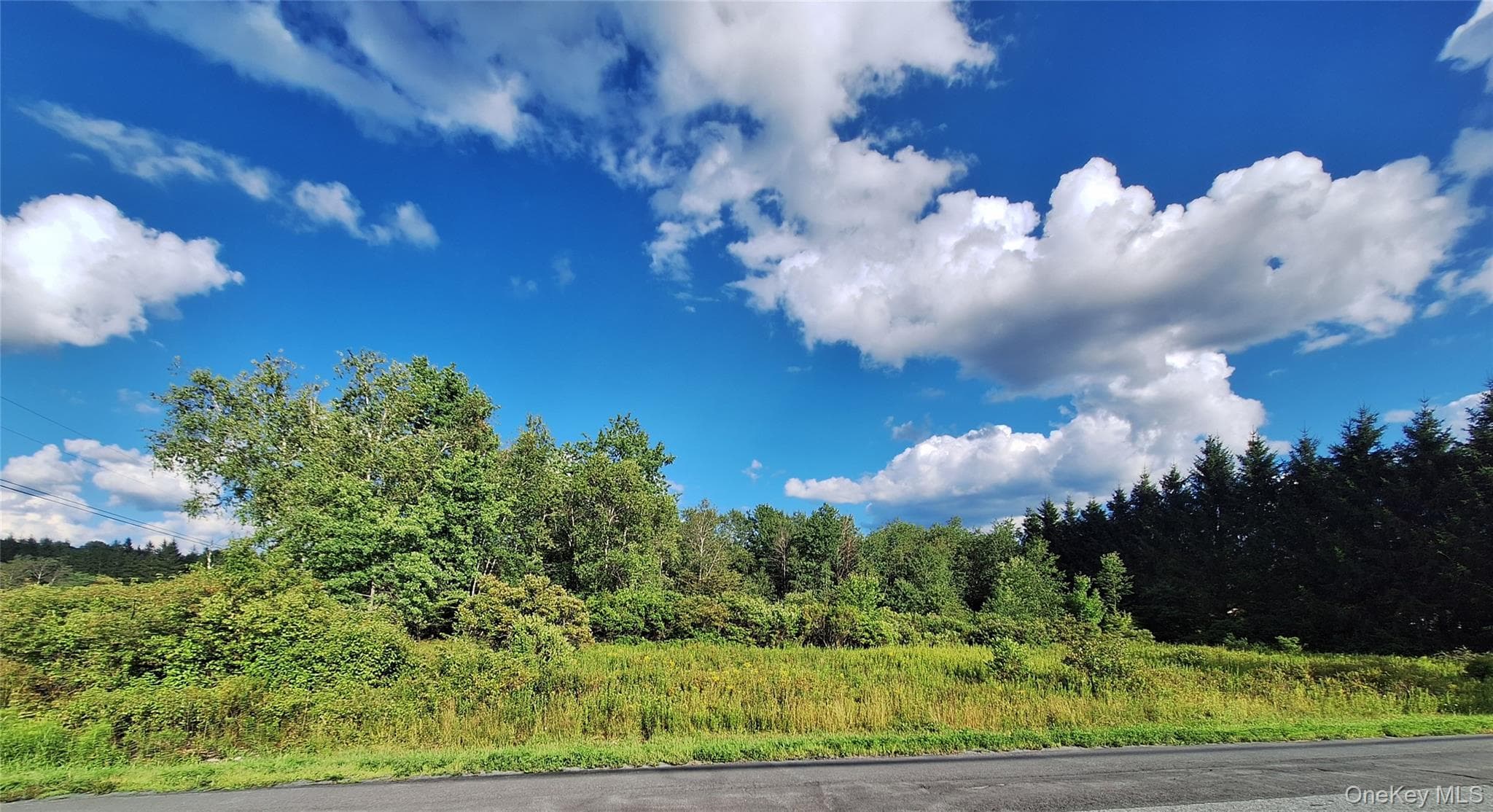 Burnt Ridge Road thumbnail 21
