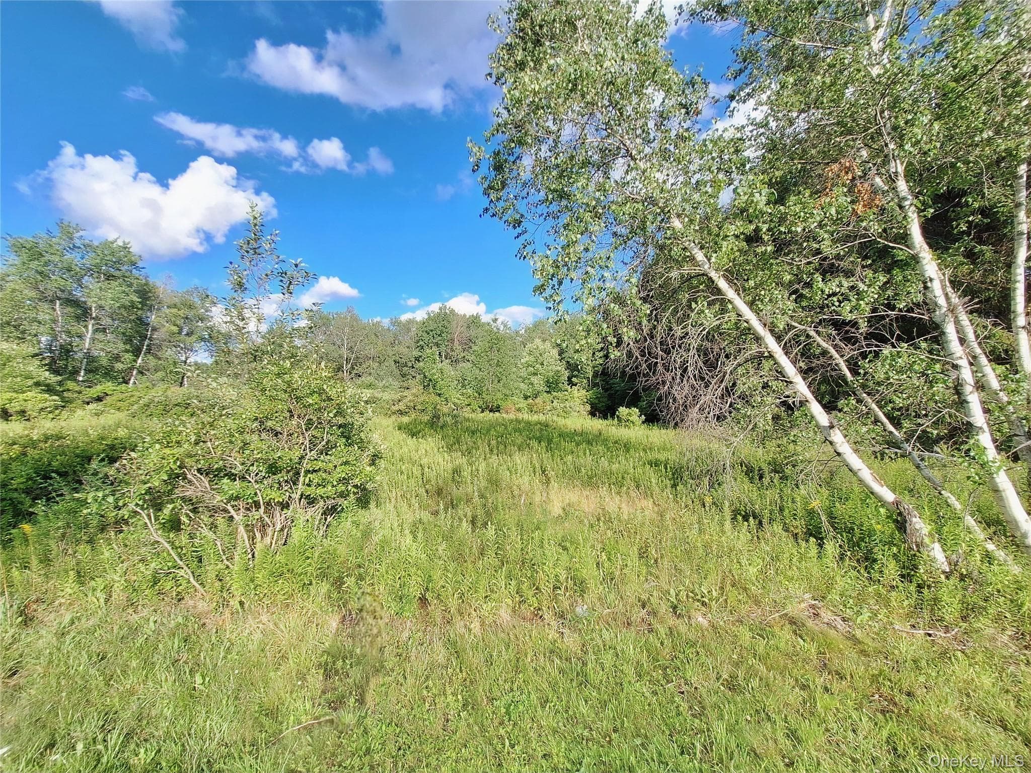Burnt Ridge Road thumbnail 25