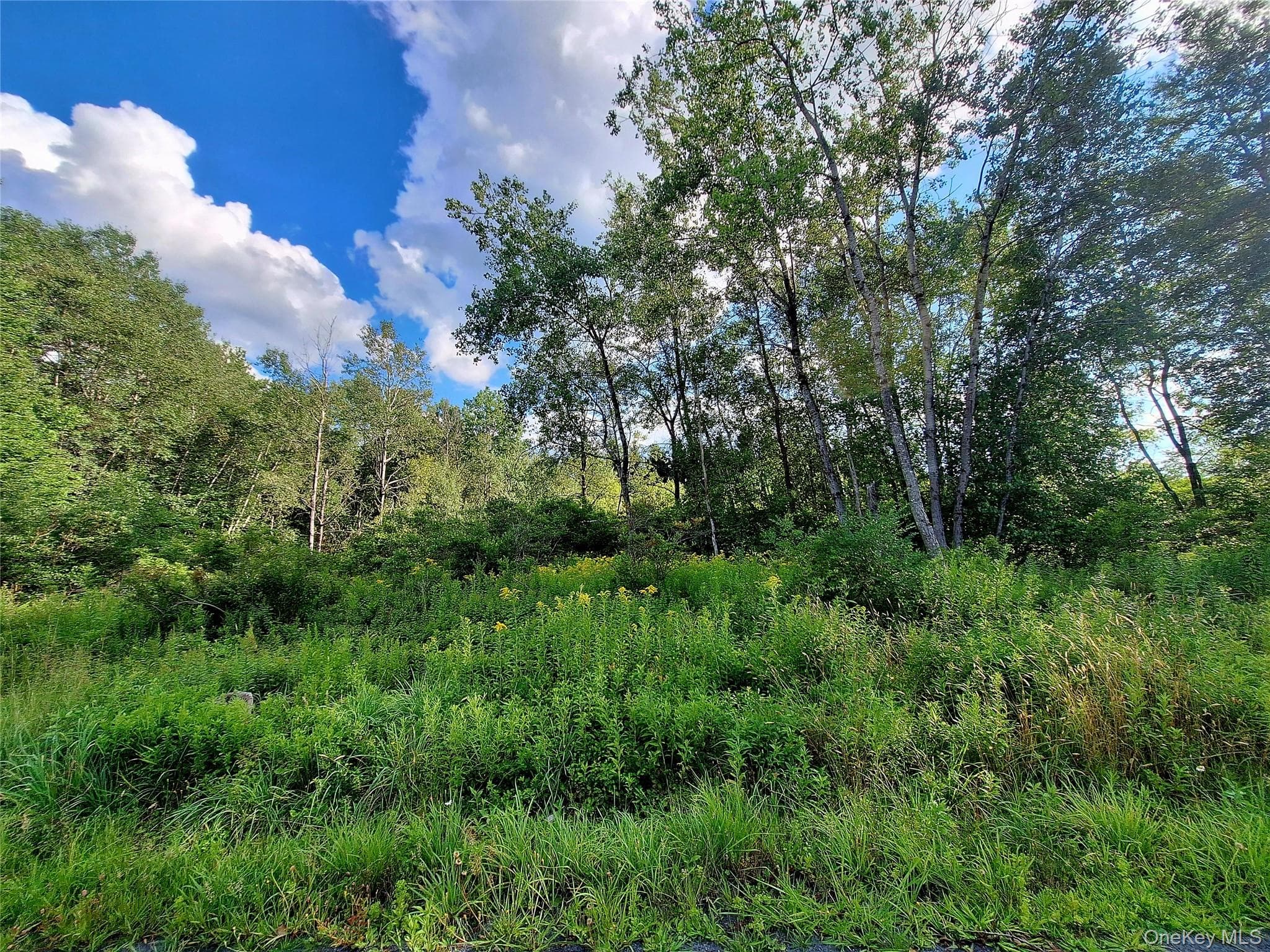 Burnt Ridge Road thumbnail 31