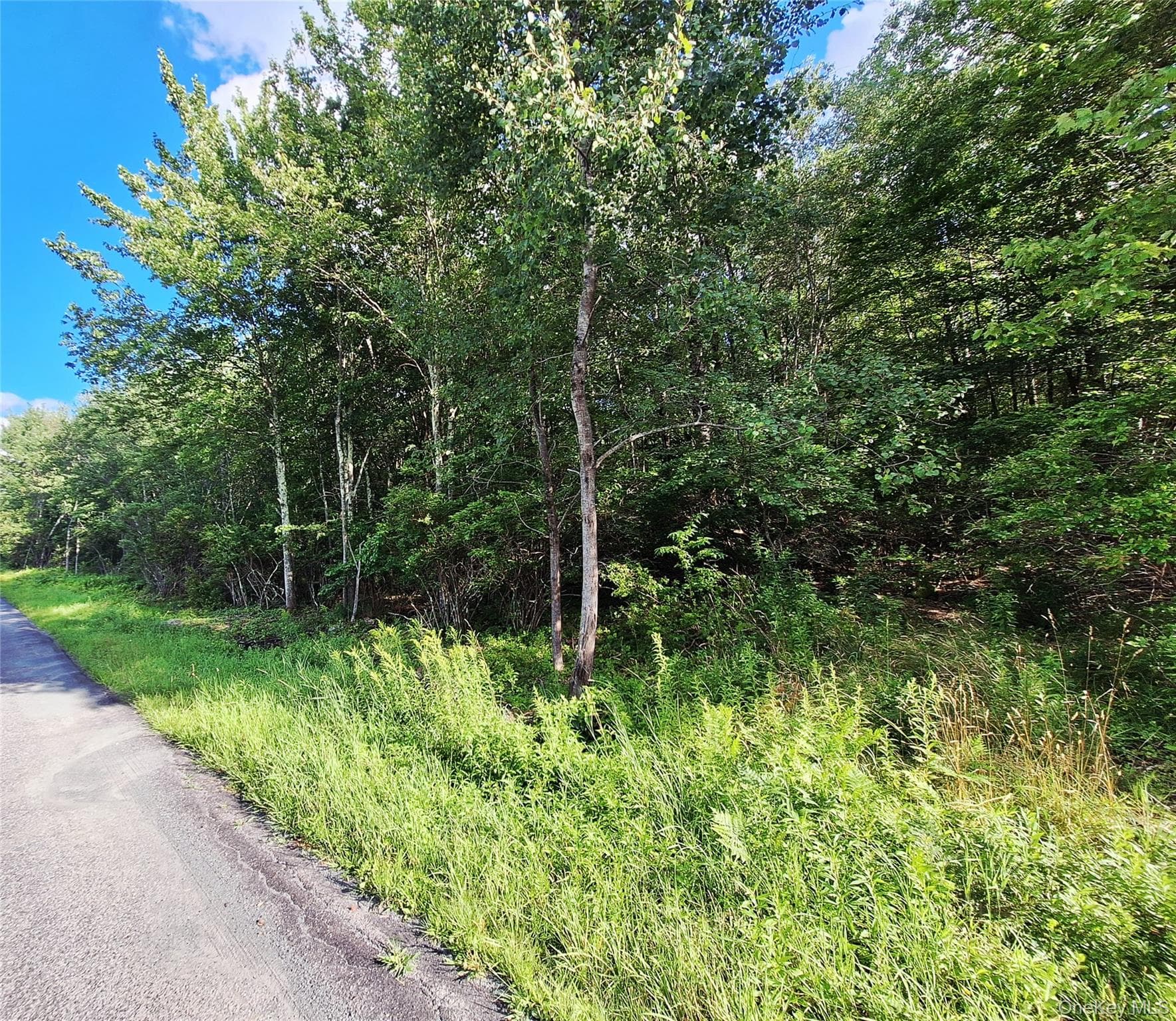 Burnt Ridge Road thumbnail 16