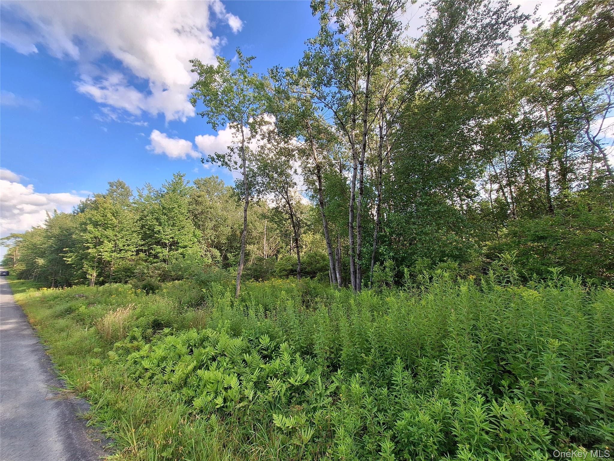 Burnt Ridge Road thumbnail 30