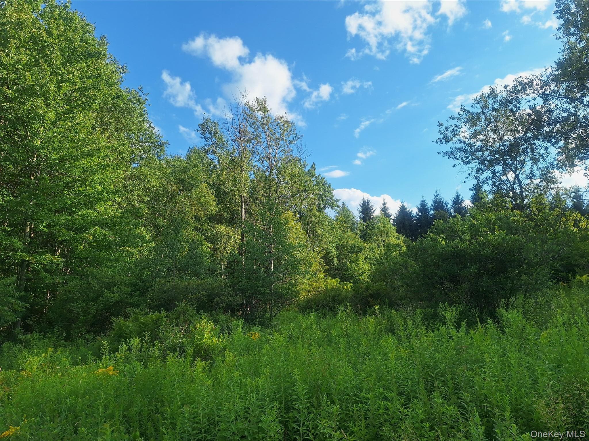 Burnt Ridge Road thumbnail 38