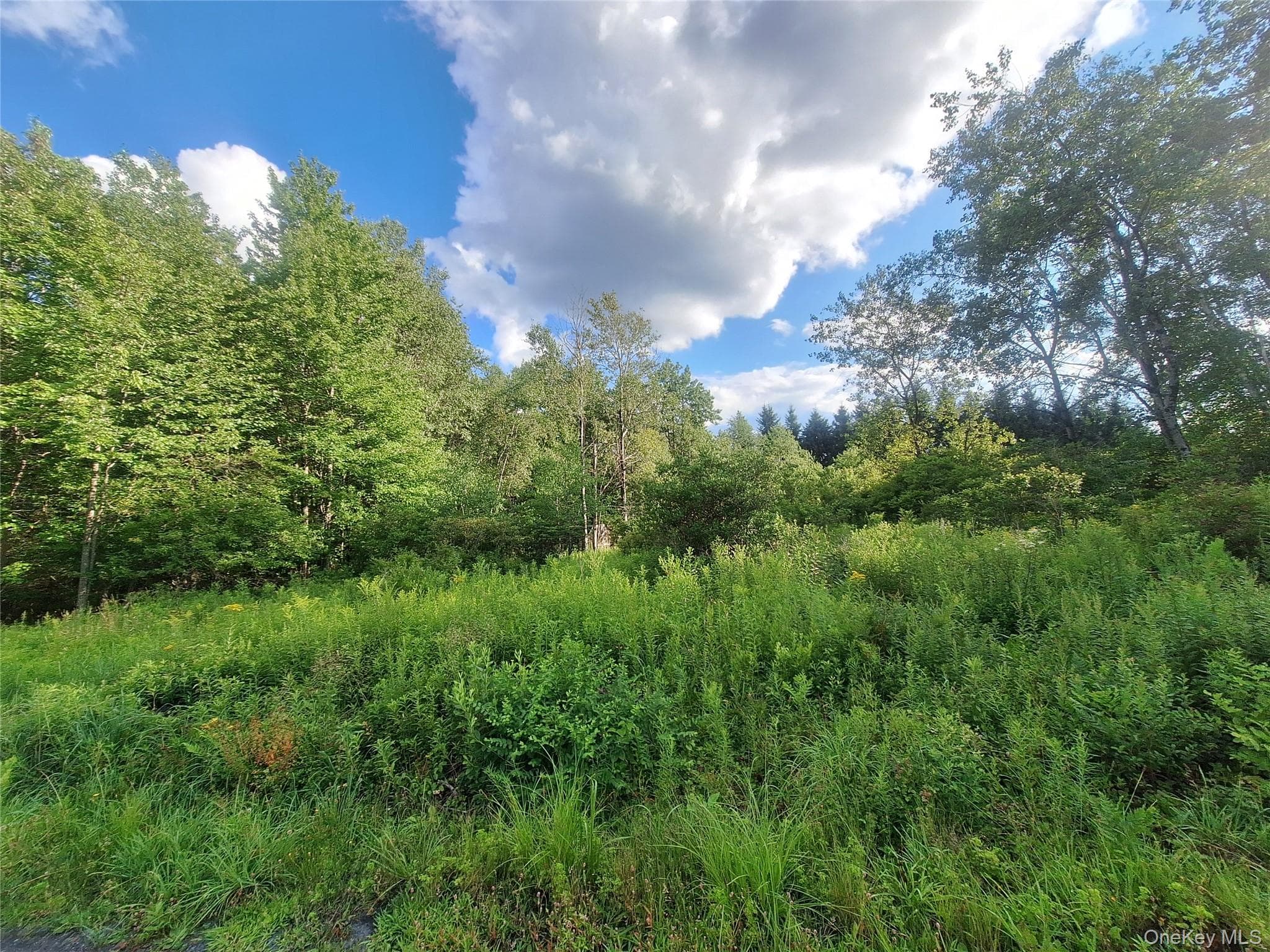 Burnt Ridge Road thumbnail 32