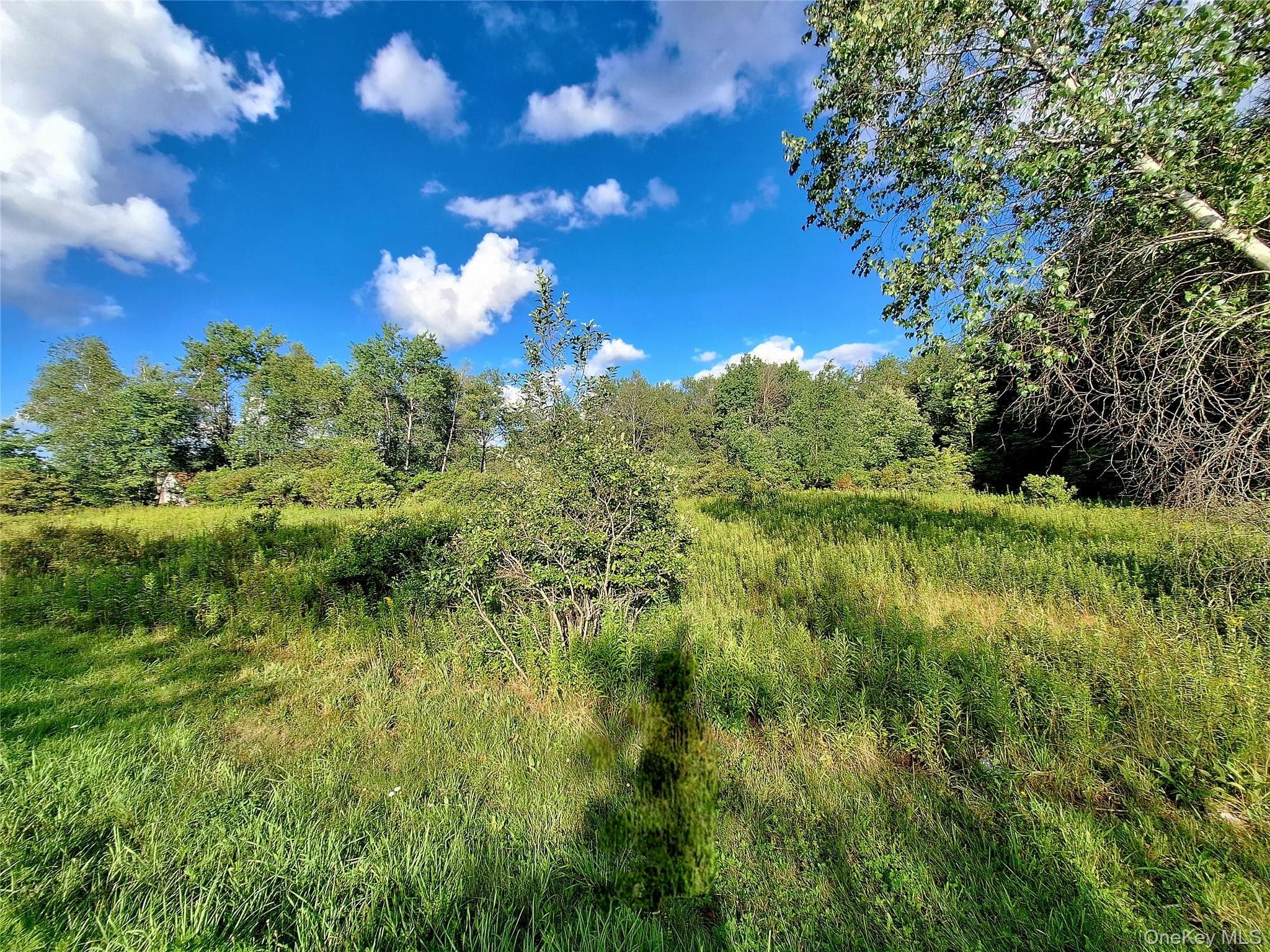 Burnt Ridge Road thumbnail 26