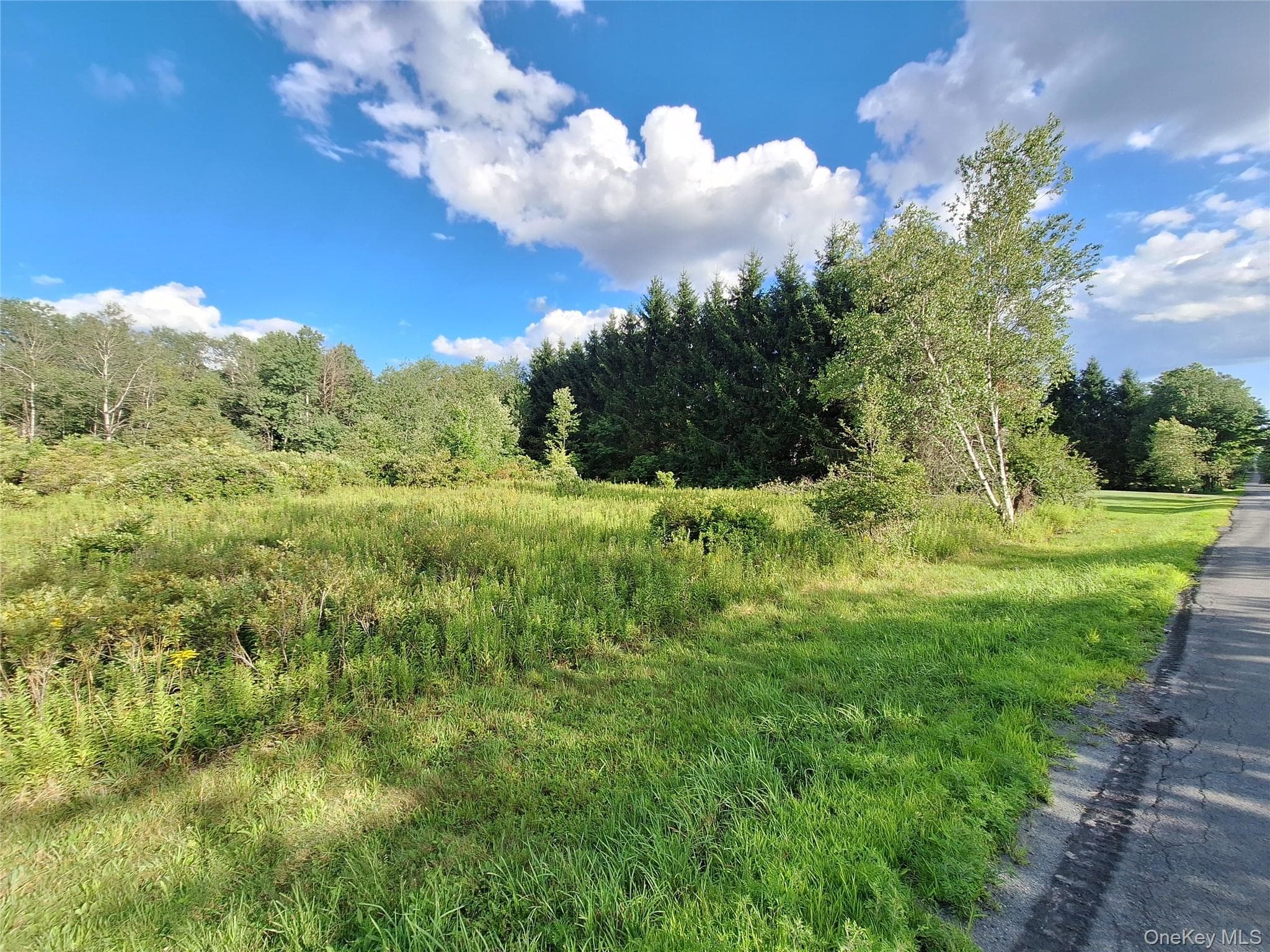 Burnt Ridge Road thumbnail 23