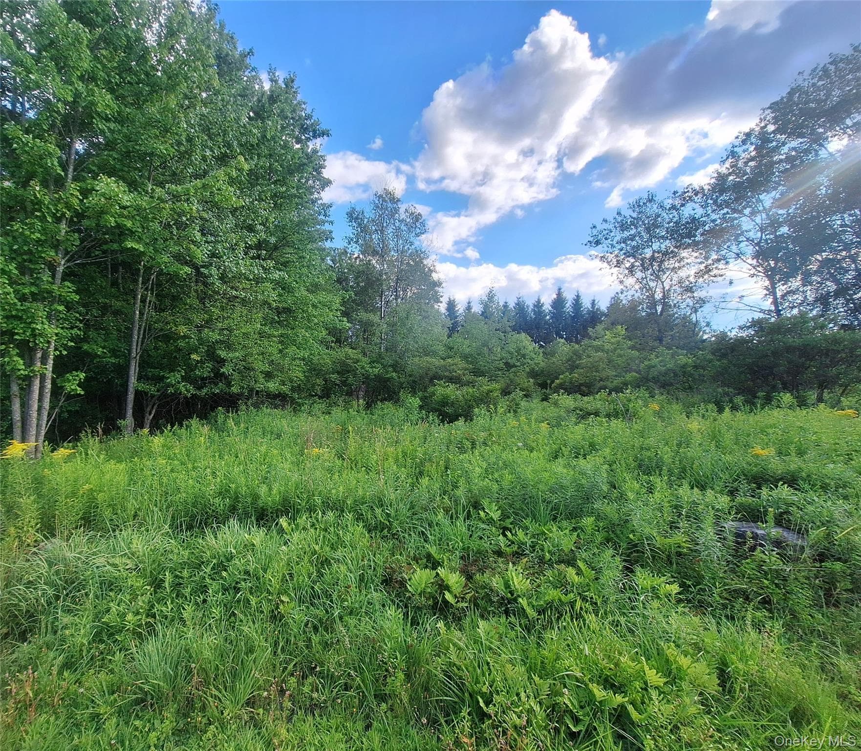 Burnt Ridge Road thumbnail 6