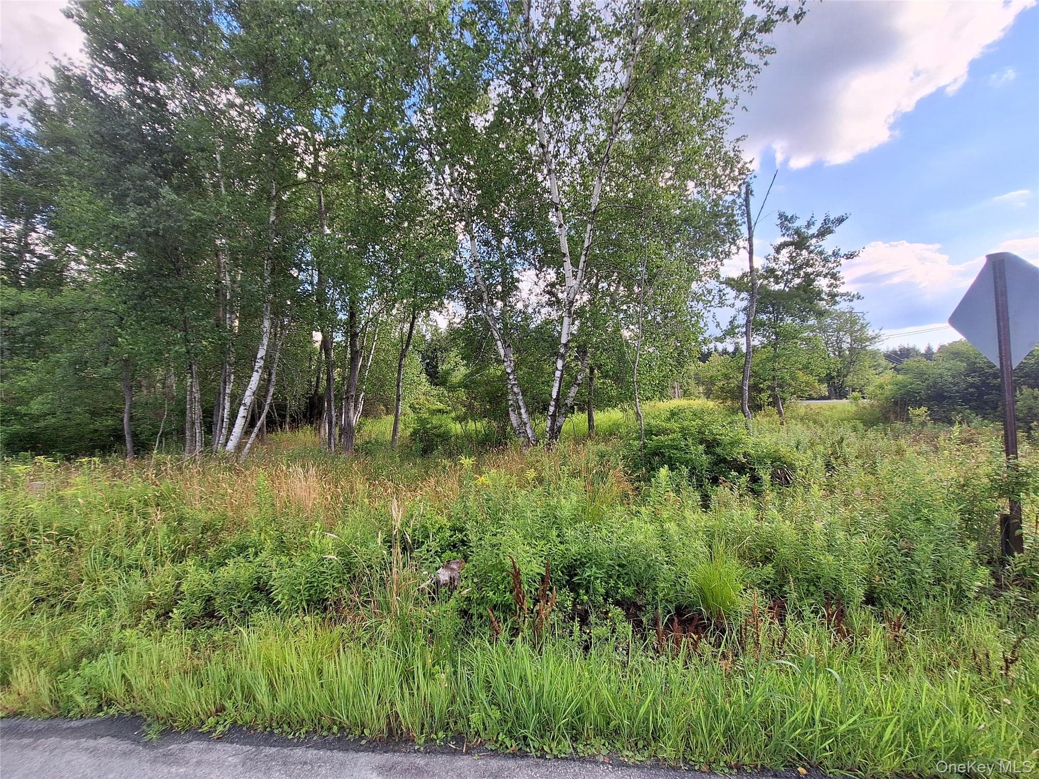 Burnt Ridge Road thumbnail 19