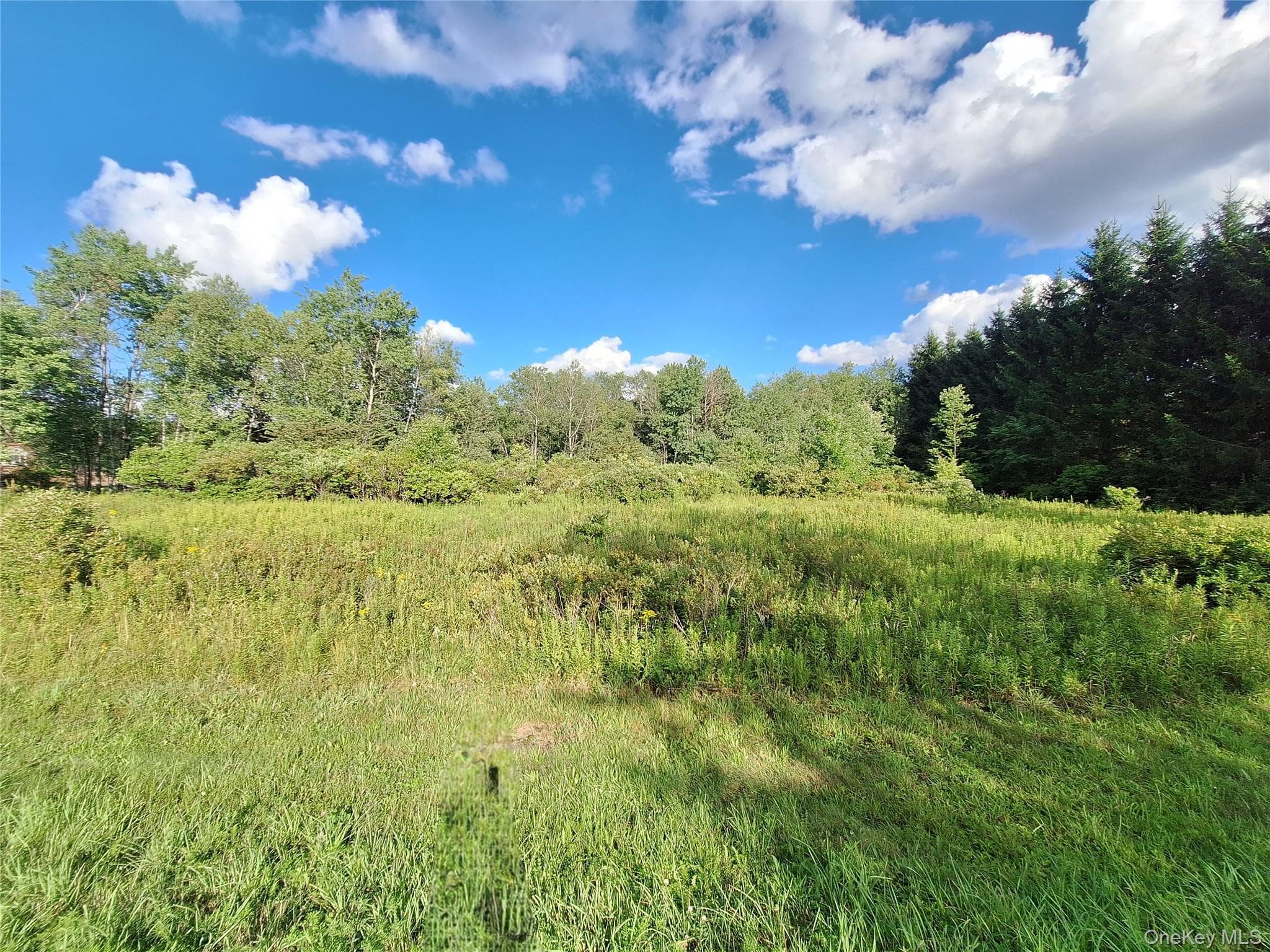 Burnt Ridge Road thumbnail 22