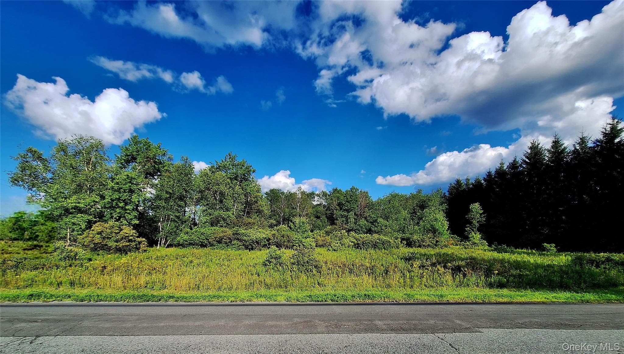 Burnt Ridge Road, Fallsburg