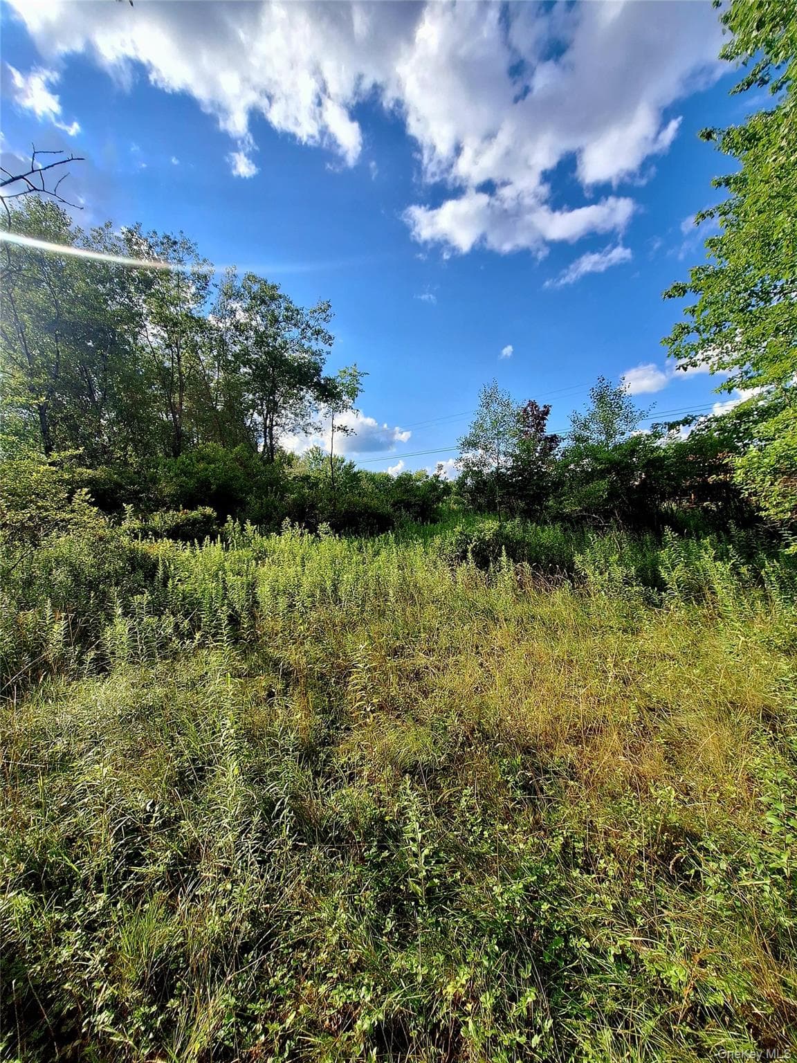 Burnt Ridge Road thumbnail 13