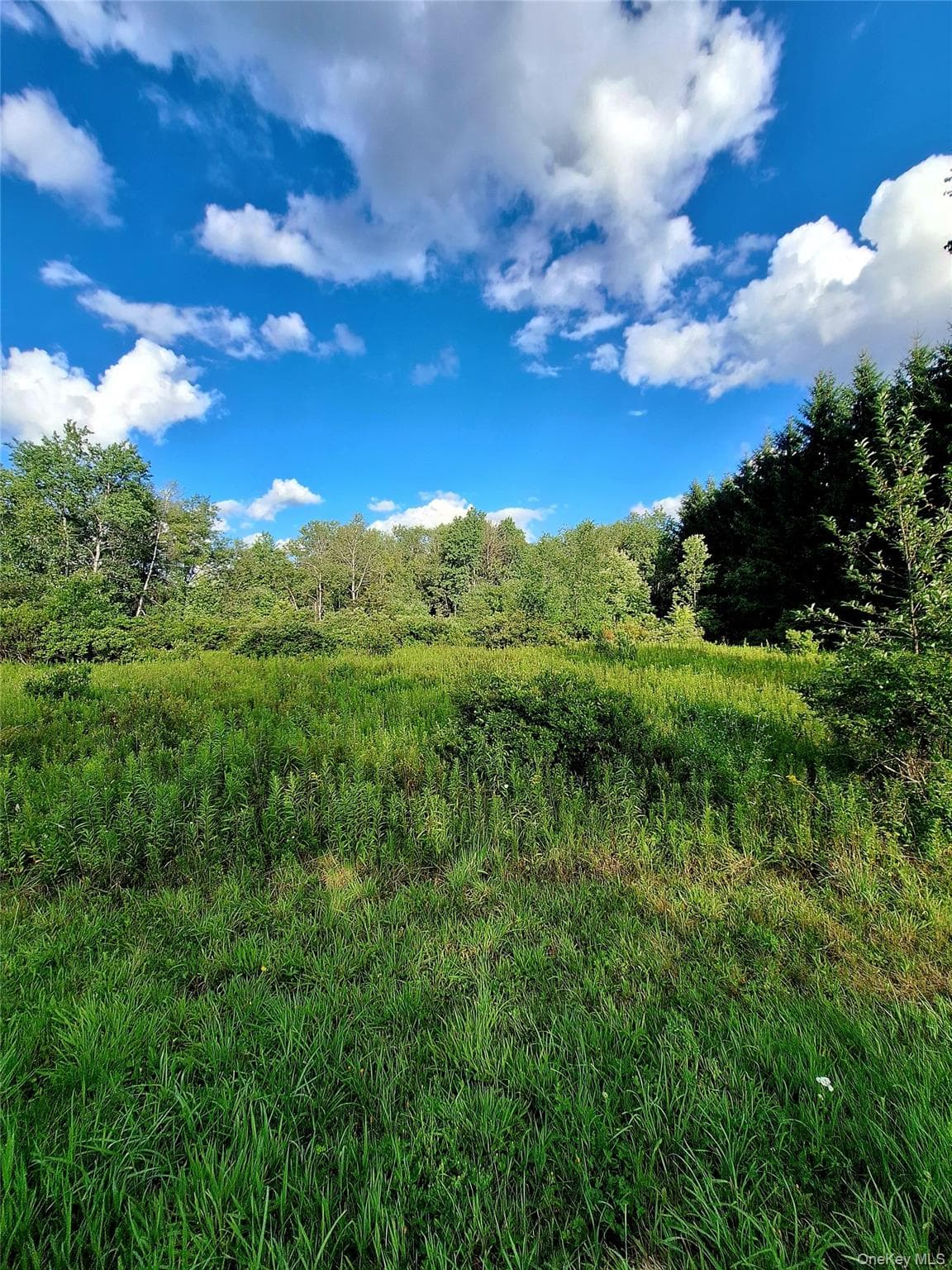 Burnt Ridge Road thumbnail 28