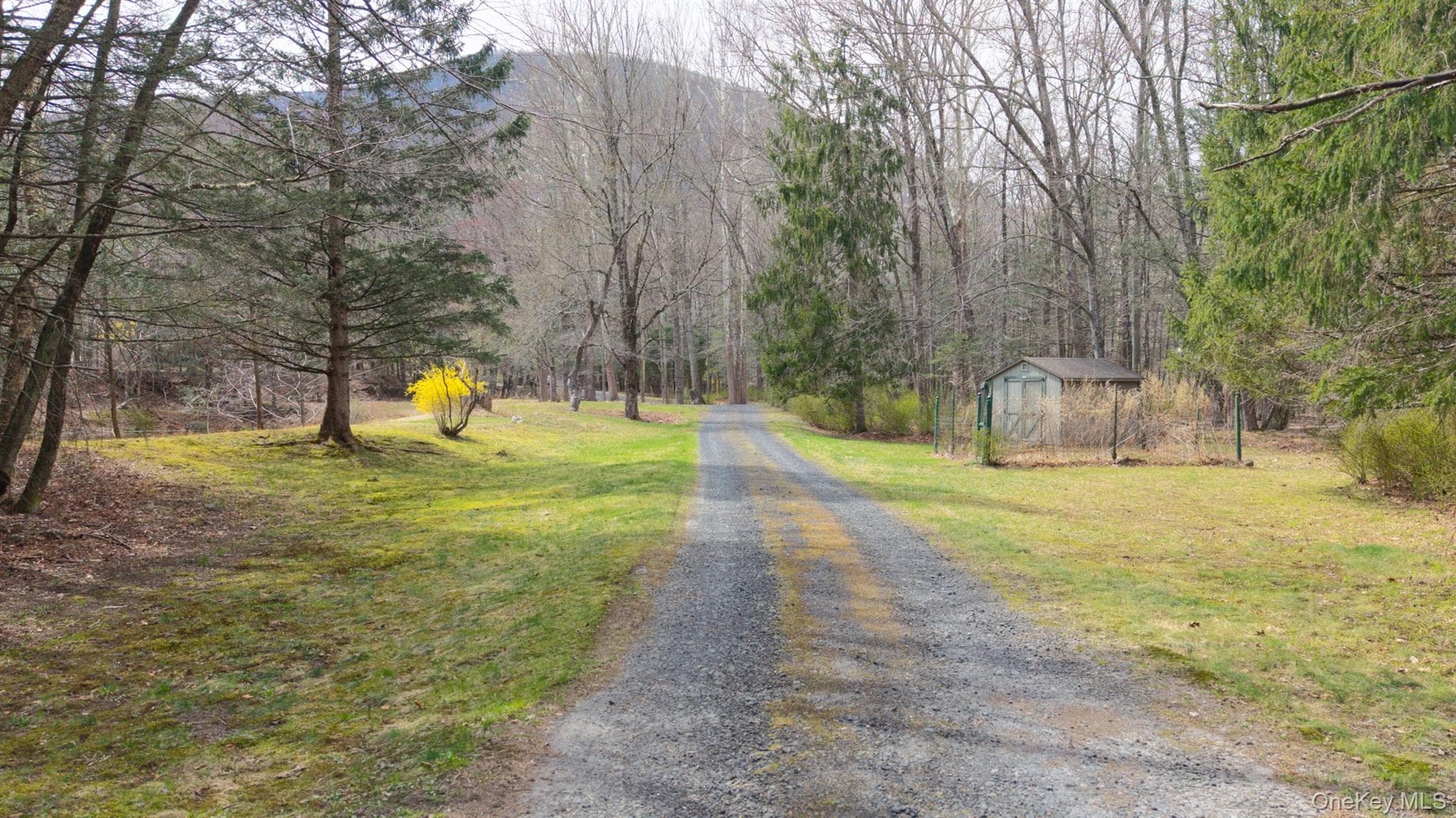 269 Watson Hollow Road thumbnail 5