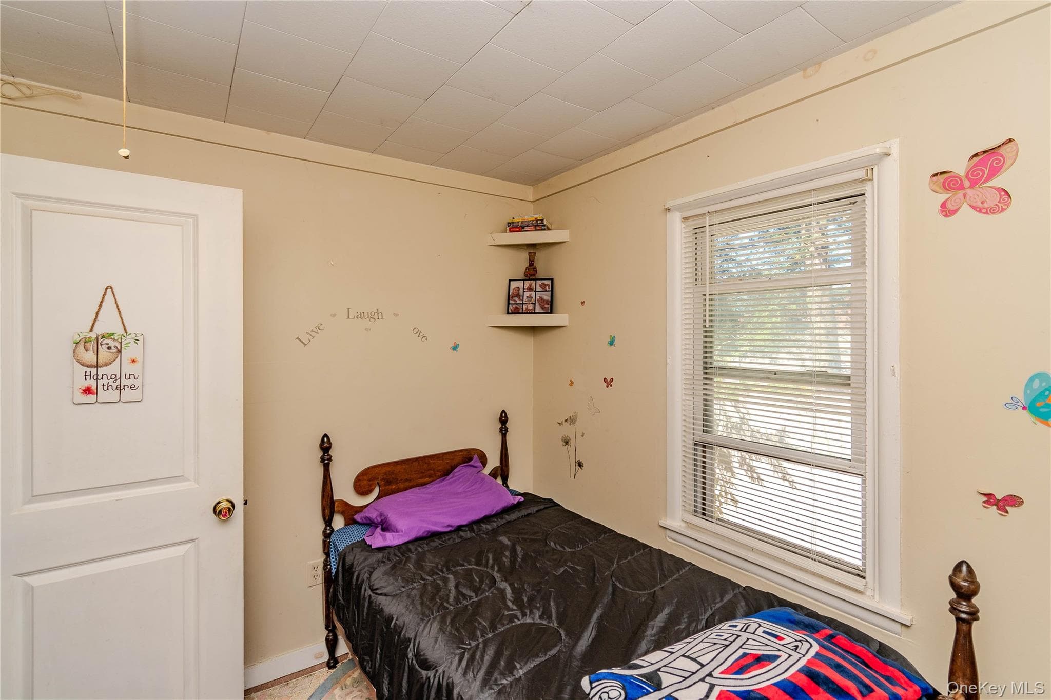 60 Carle Terrace thumbnail 17