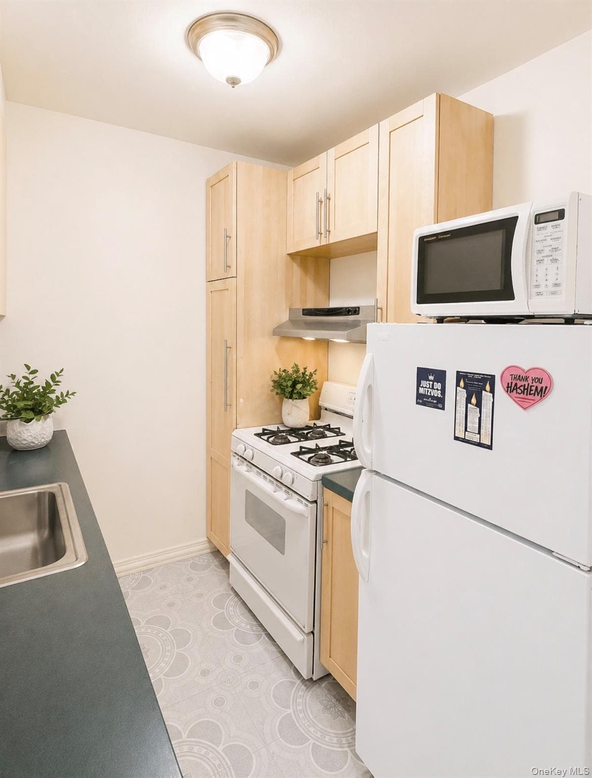84-01 Main St St Unit: 311 thumbnail 3