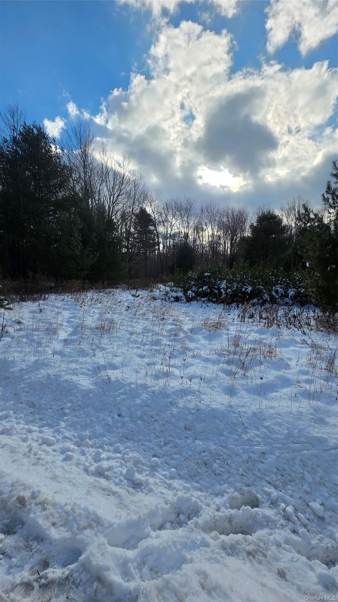 1487 Ulster Heights Road thumbnail 5