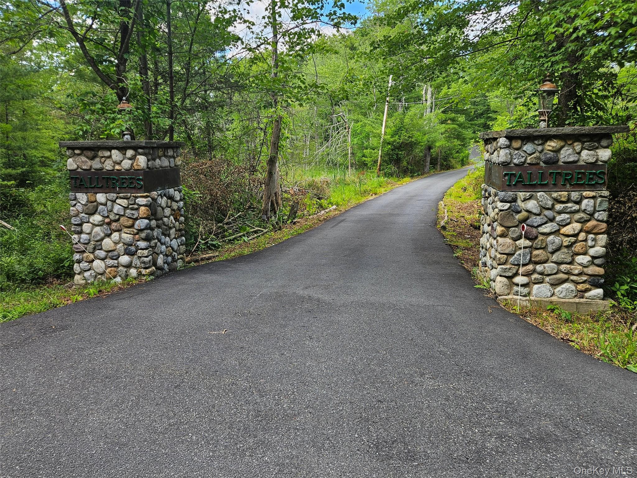 229 Clove Road RD thumbnail 46
