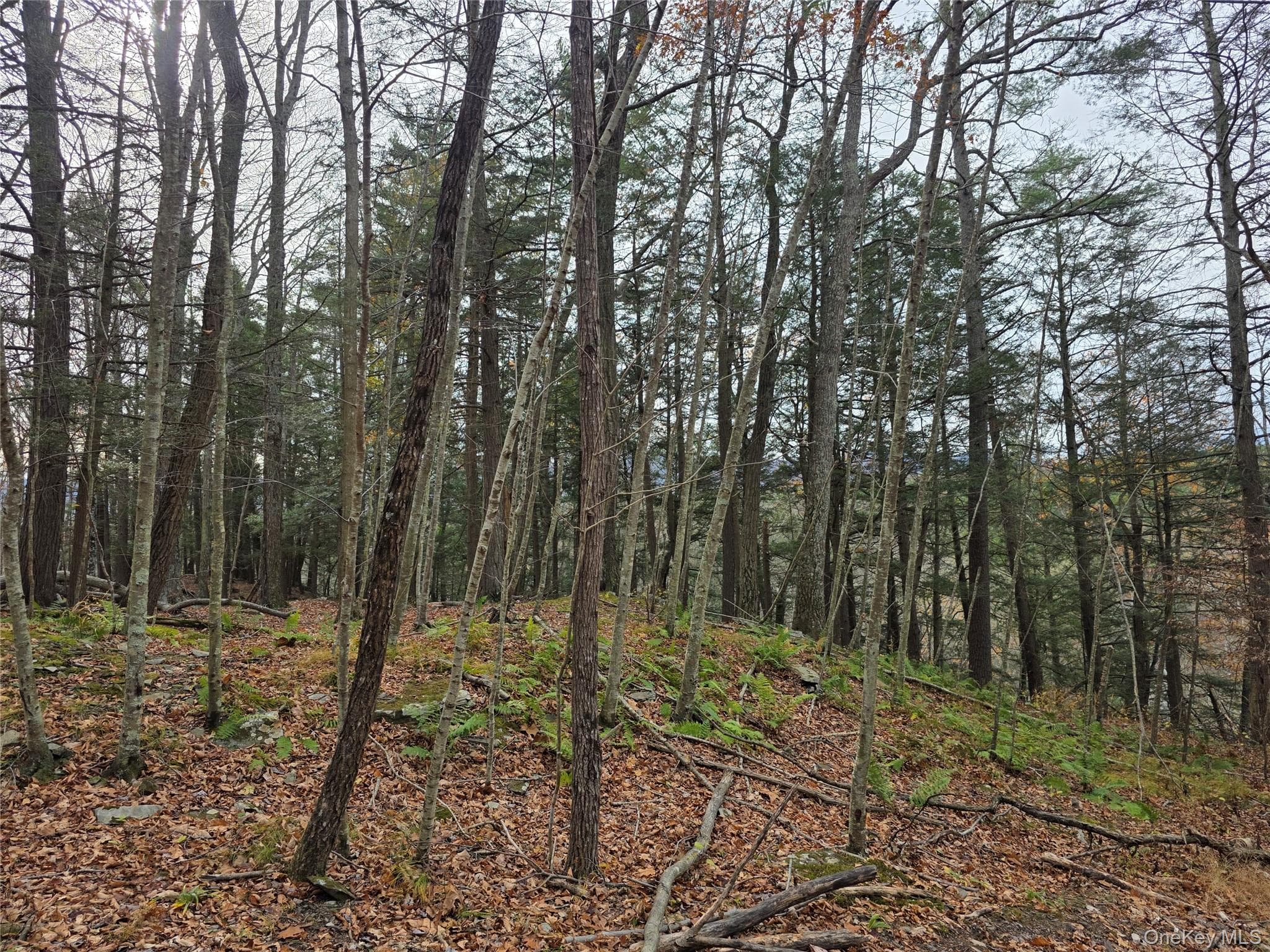 0 County Route 41 thumbnail 3