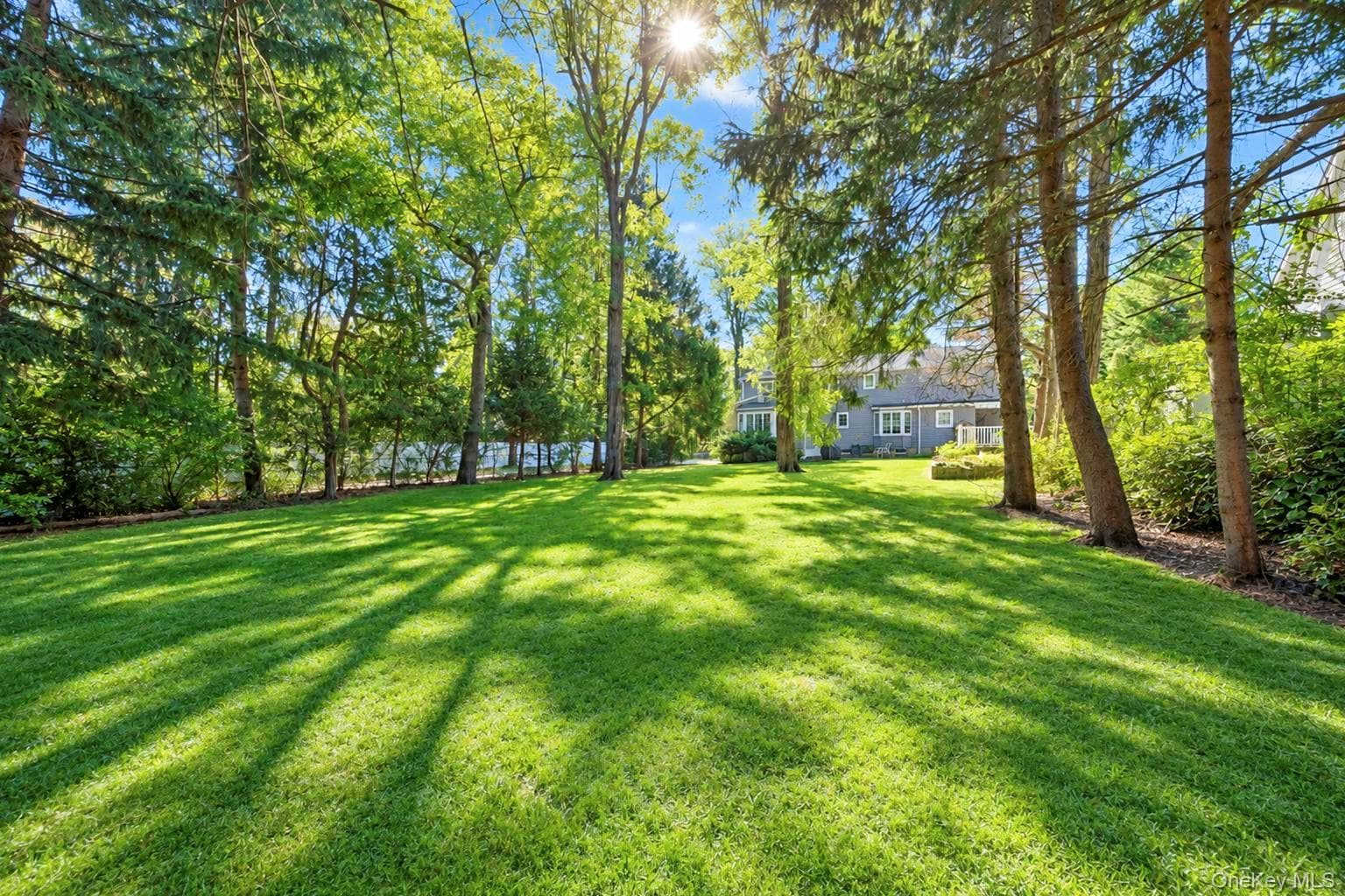 271 Syosset Woodbury Road thumbnail 9