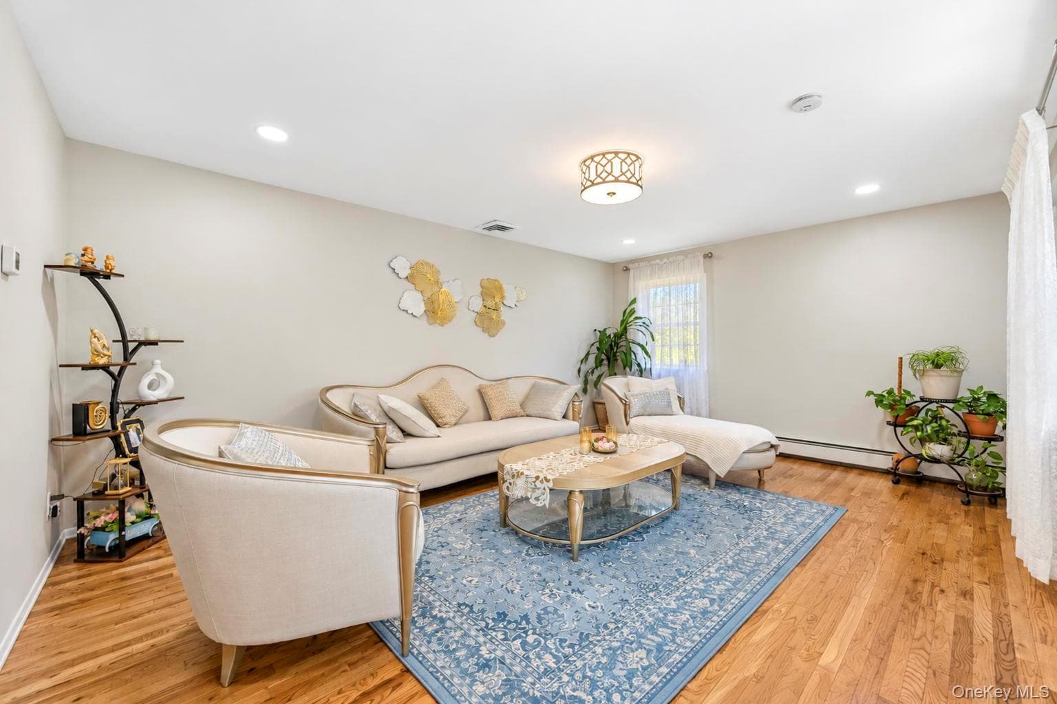 271 Syosset Woodbury Road thumbnail 13