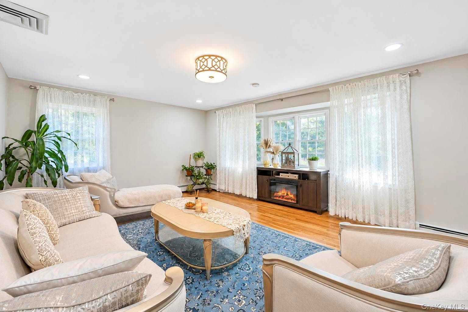 271 Syosset Woodbury Road thumbnail 12