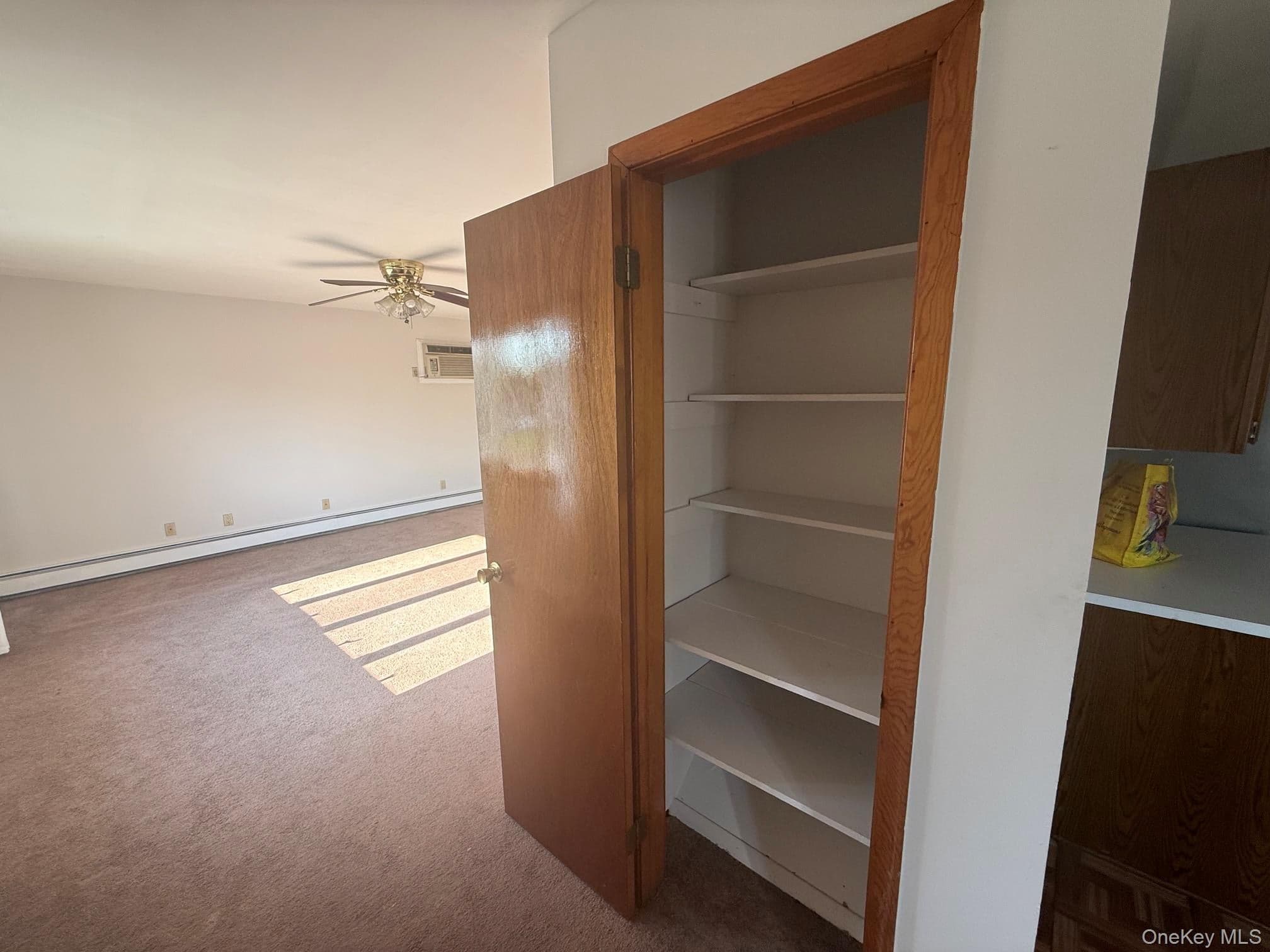 79 Elizabeth Drive thumbnail 16
