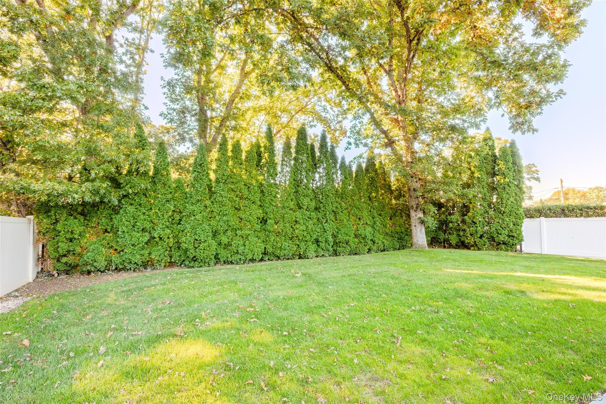 24 Kingswood Drive thumbnail 39