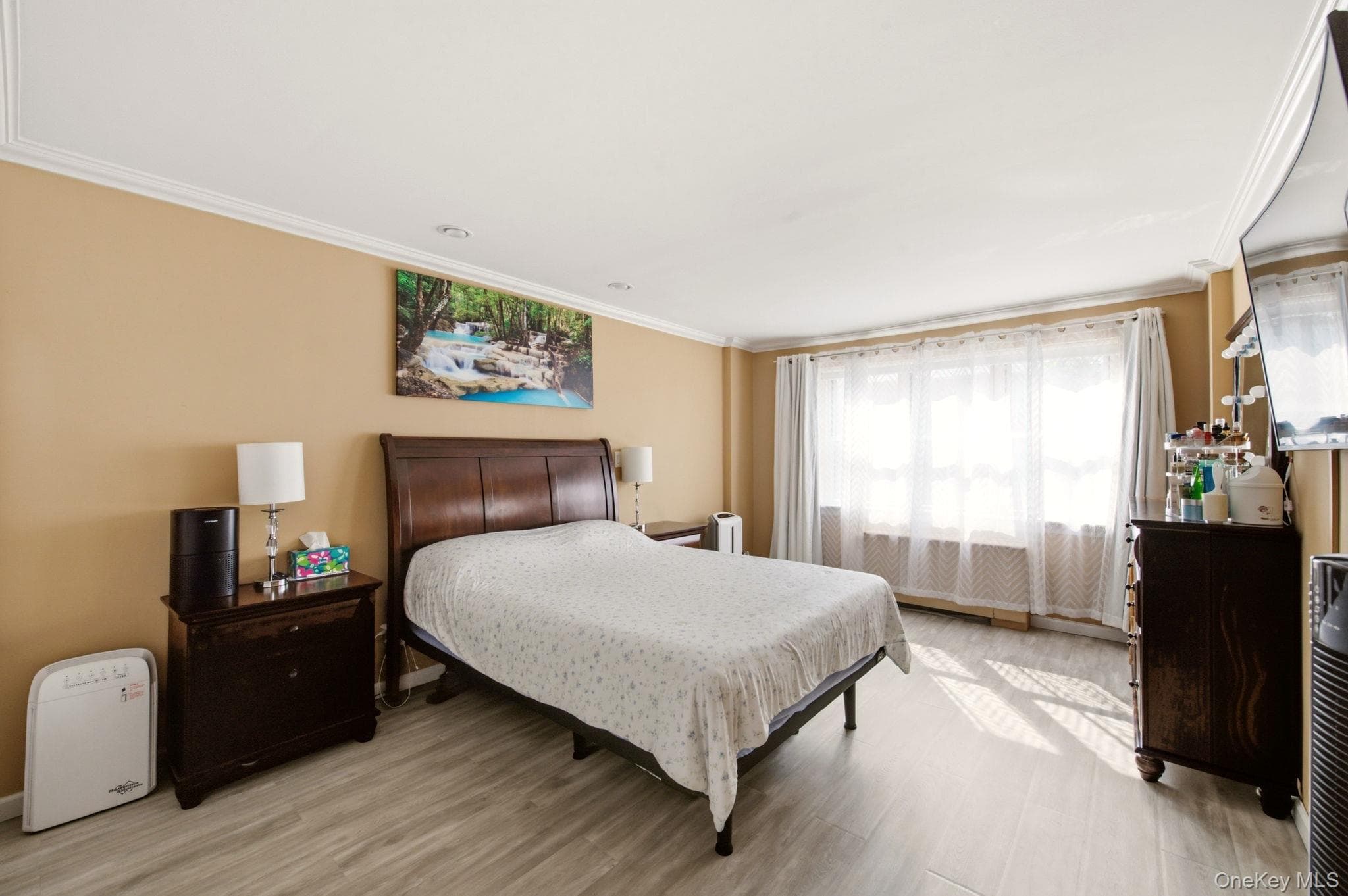180 South Middle Neck RD Unit: 1P thumbnail 14