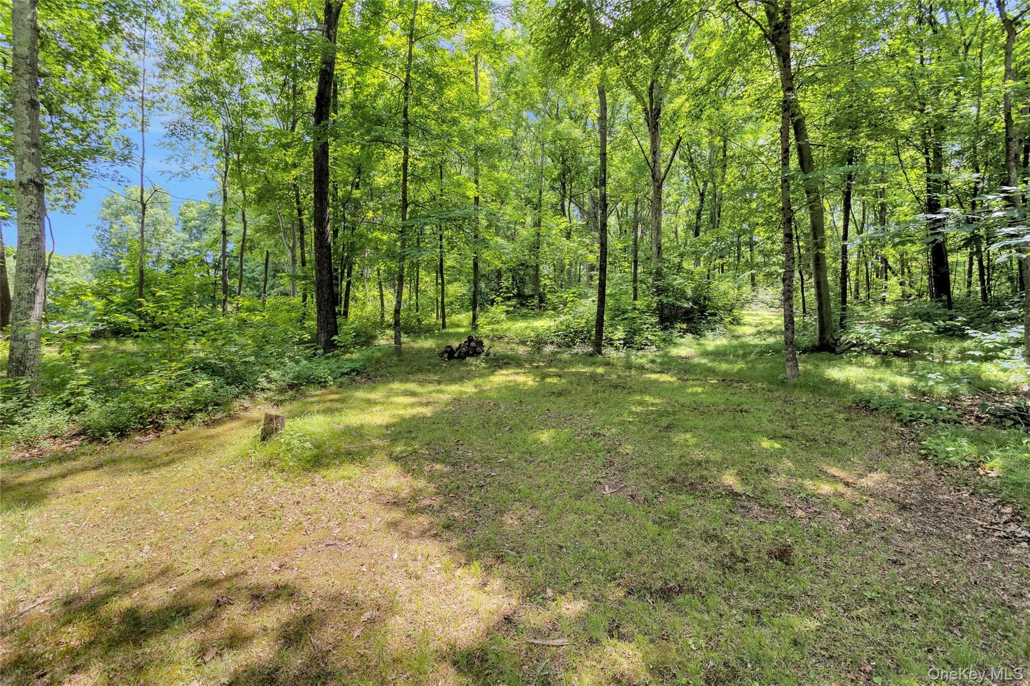 577 Wood Road thumbnail 14