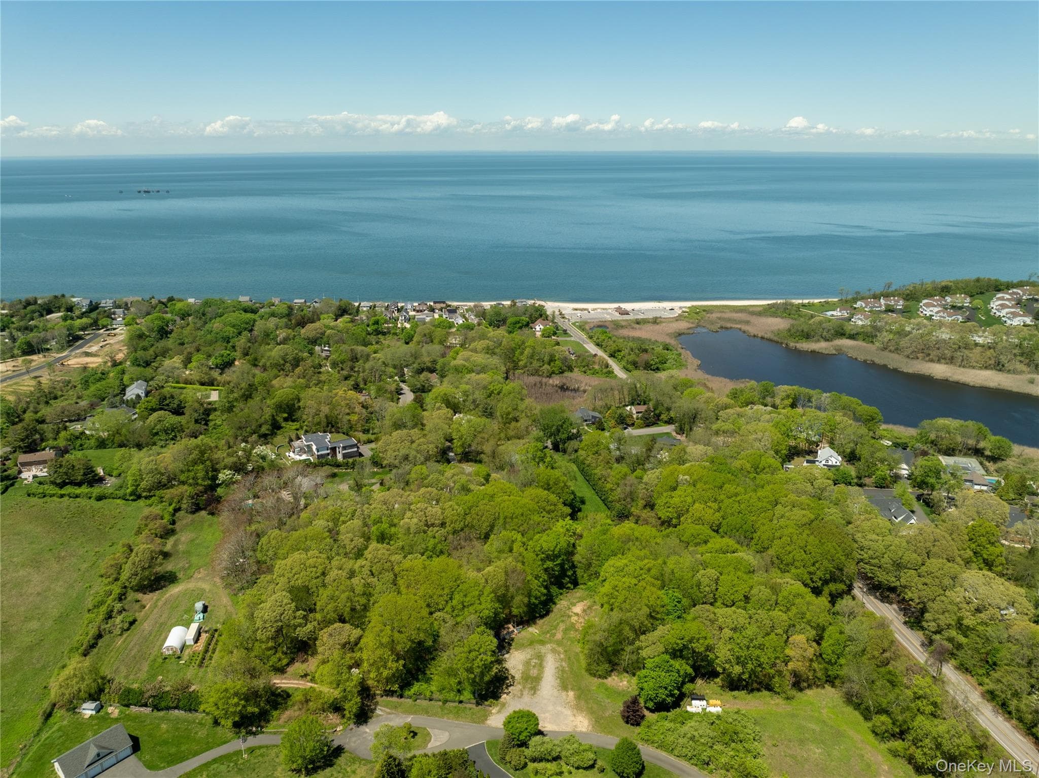 Pier Avenue thumbnail 18