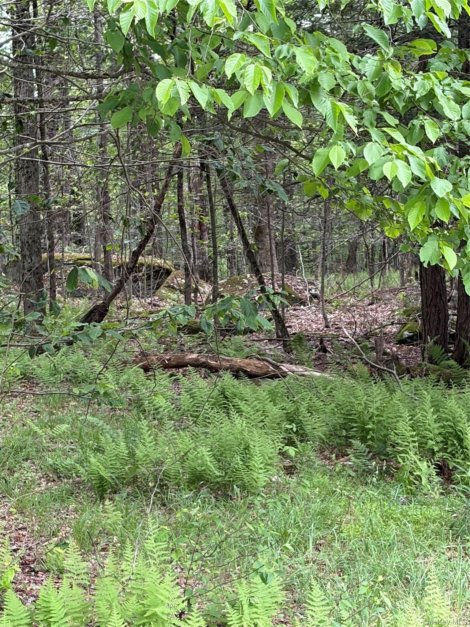 651 Creamery Road thumbnail 6